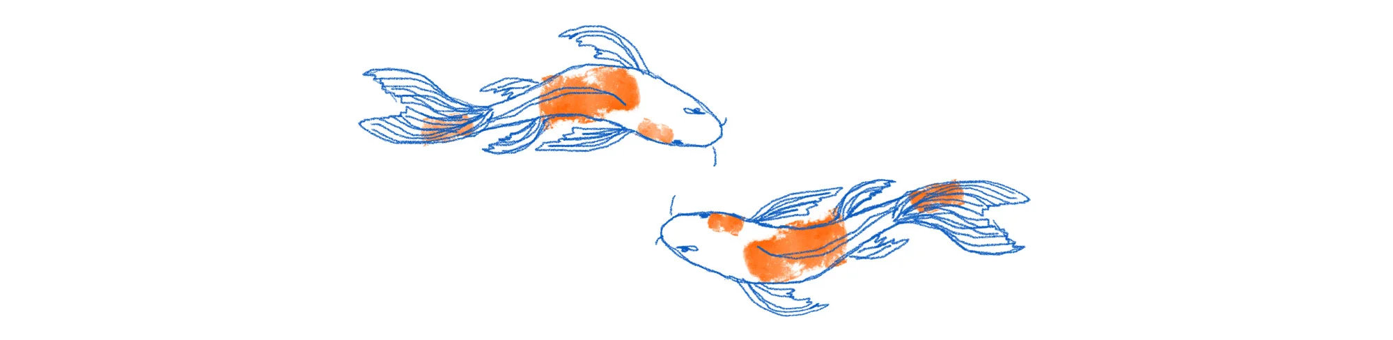 fish.jpg