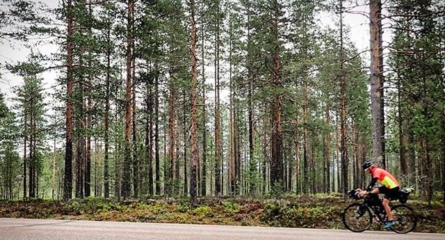 #bikeadventure Day 3.
H&ouml;gv&aring;len - Str&auml;ngforsen, 216km.
.
The views you get when cycling through Dalarna 🌲🌲🌲🌲🌲🌲🌲🌲🌲🌲🌲🌲🌲🌲🌲🌲🌲🌲🌲🌲🌲🌲🌲🌲🌲🌲🌲🌲🌲🌲🌲🌲🌲🌲🌲🏠🌲🌲🌲🌲🌲🌲🌲🌲🌲🌲🌲🌲🌲🌲🌲🌲🌲🌲🌲🌲🌲🌲🌲🌲🌲🌲🌲🌲🌲?