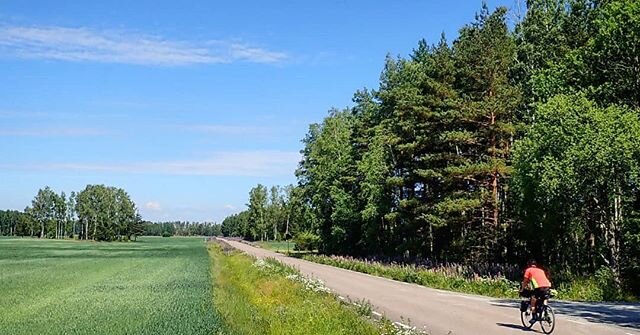 #bikeadventure Day 5.
Karlstad - Vita Sandars Camping, 223km.
.
Had a much shorter day planned so taking a 75km detour to get a typical Swedish &quot;midsummer plate&quot; at a marina for lunch felt like the only right thing to do.
Glad midsommar 🍻
