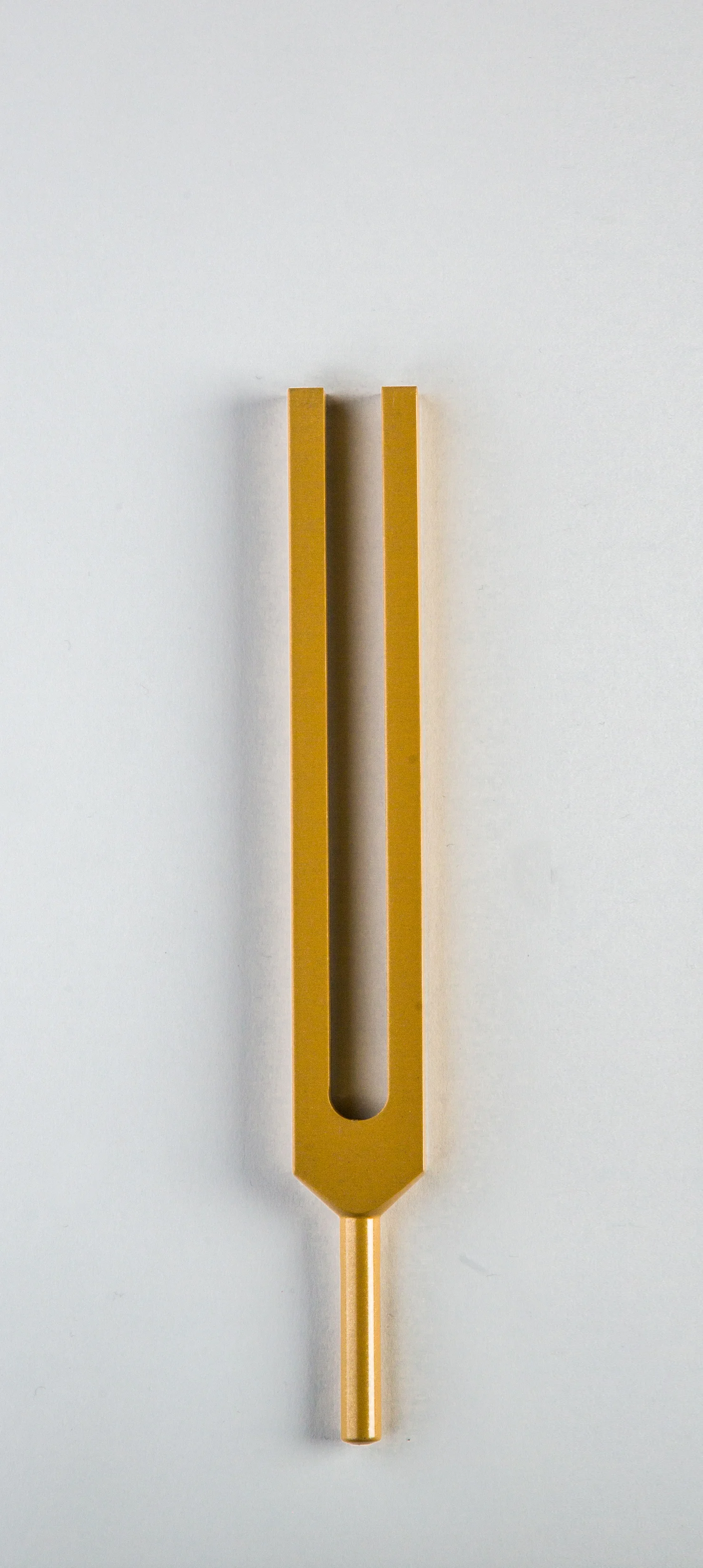 ssforks-343.jpg