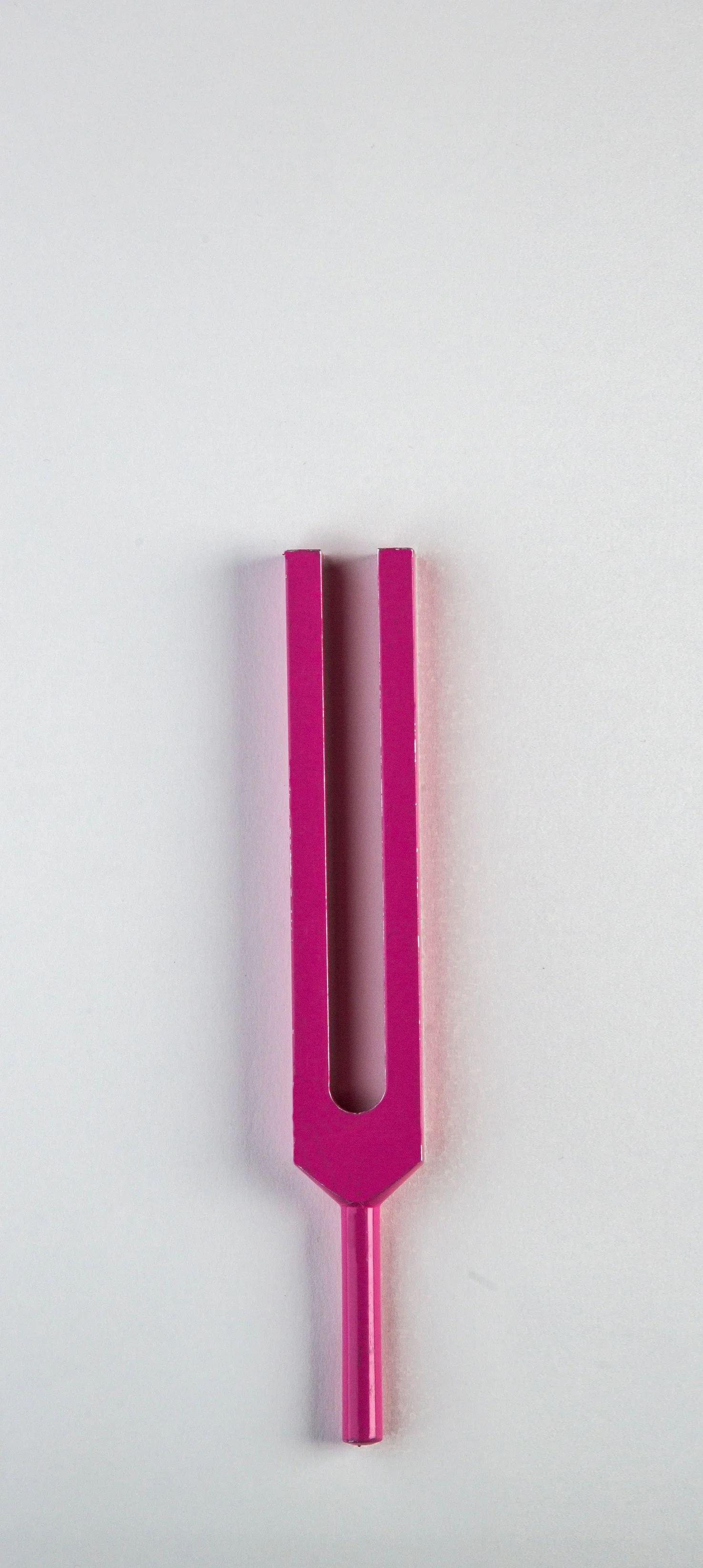 ssforks-353.jpg
