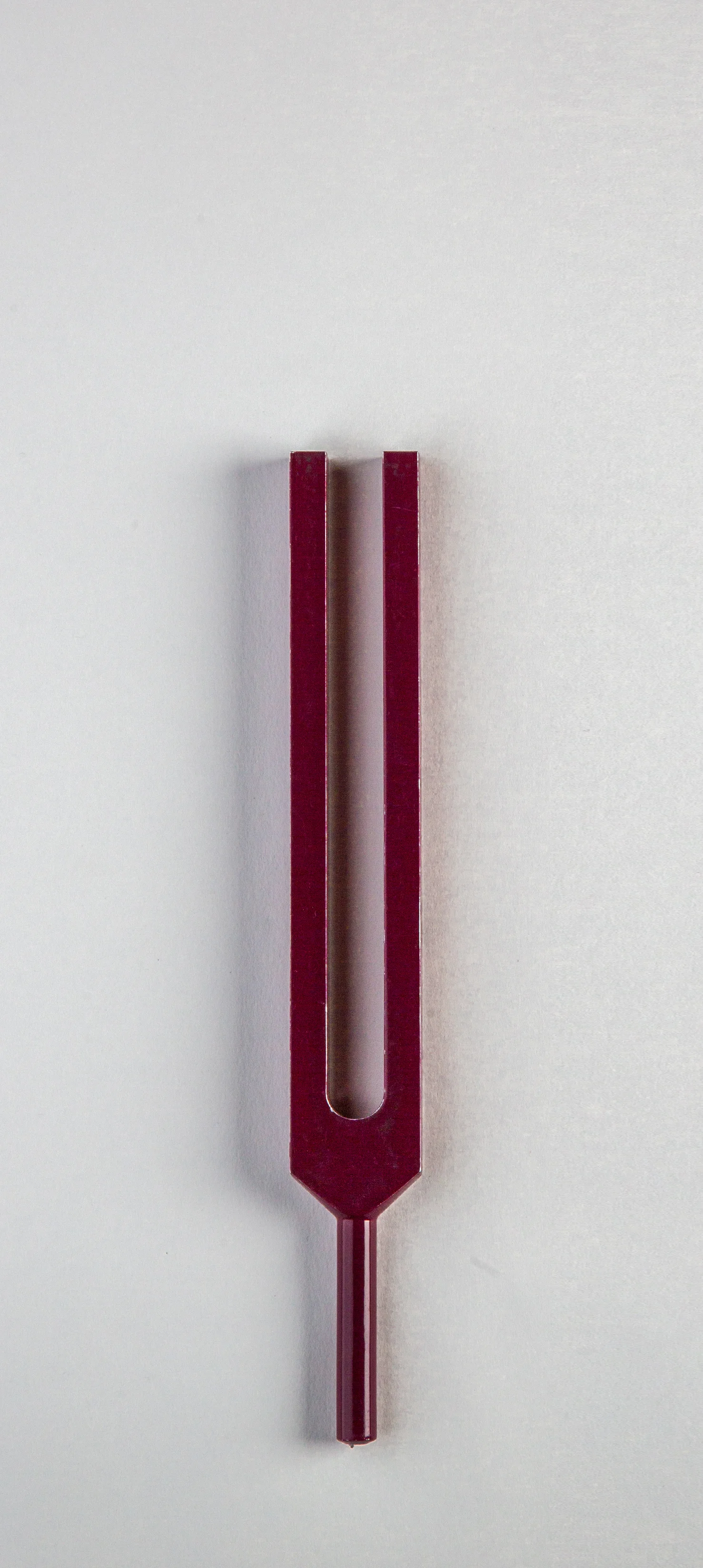 ssforks-361.jpg