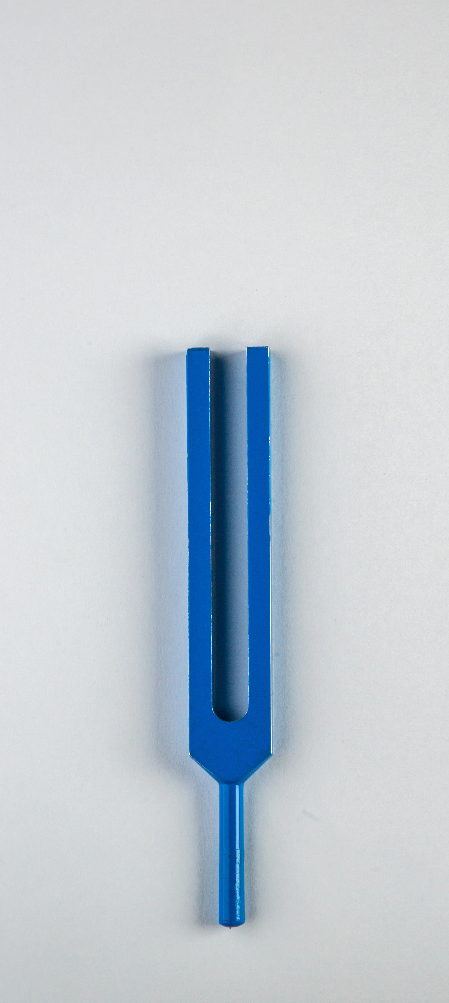 ssforks-357.jpg