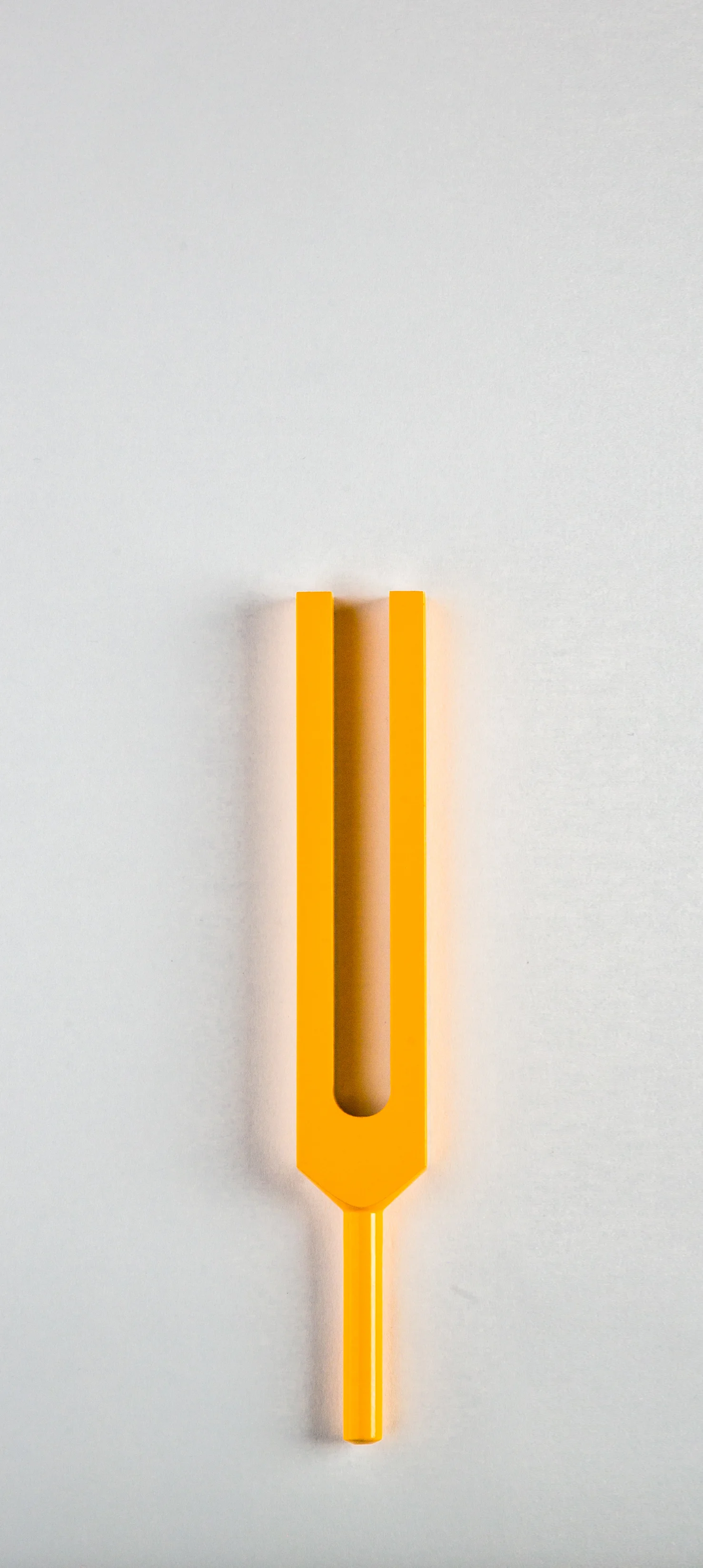 ssforks-346.jpg