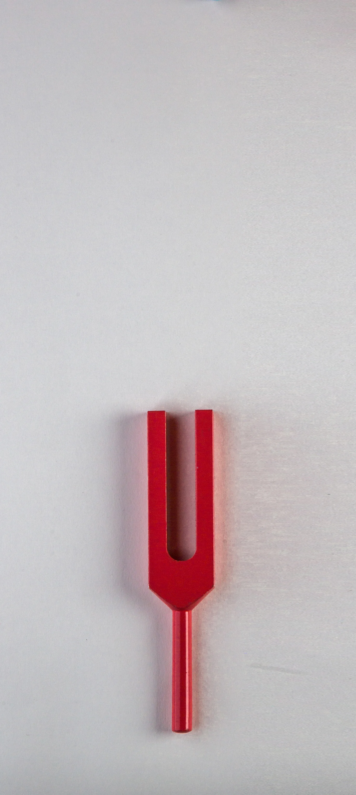 ssforks-366.jpg