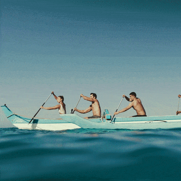 ezgif.com-gif-maker (1).gif