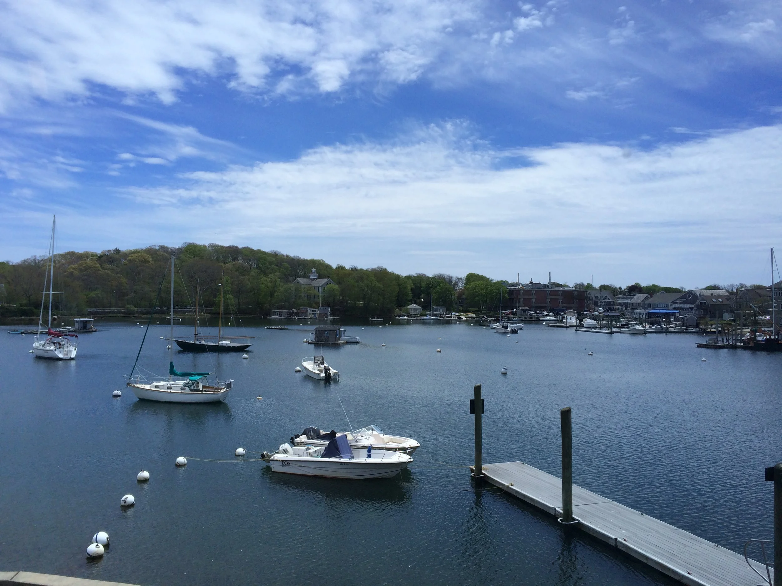 Chris taught "Spermatogenesis II" in the 2016 Frontiers in Reproduction (FIR) course at the Marine Biological Laboratory at Wood's Hole, MA. This is aview of beautiful Eel Pond from just outside the cafeteria...