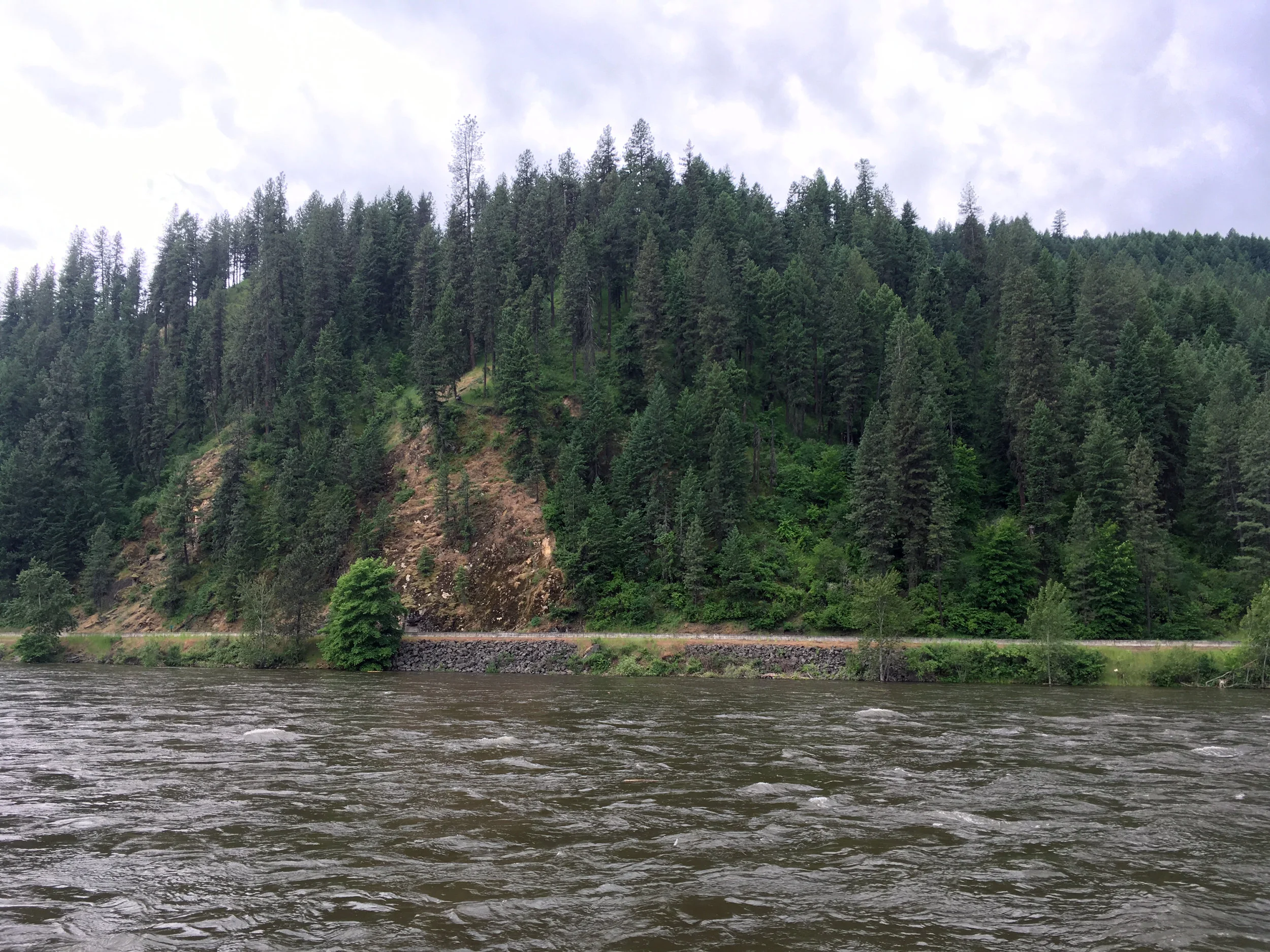 Chris traveled in June to Orofino, ID to speak at the 2017 Annual Center for Reproductive Biology Retreat (Washington State University and University of Idaho). This is a view of the beautiful Clearwater River from the deck of the Hotel Conference Center.