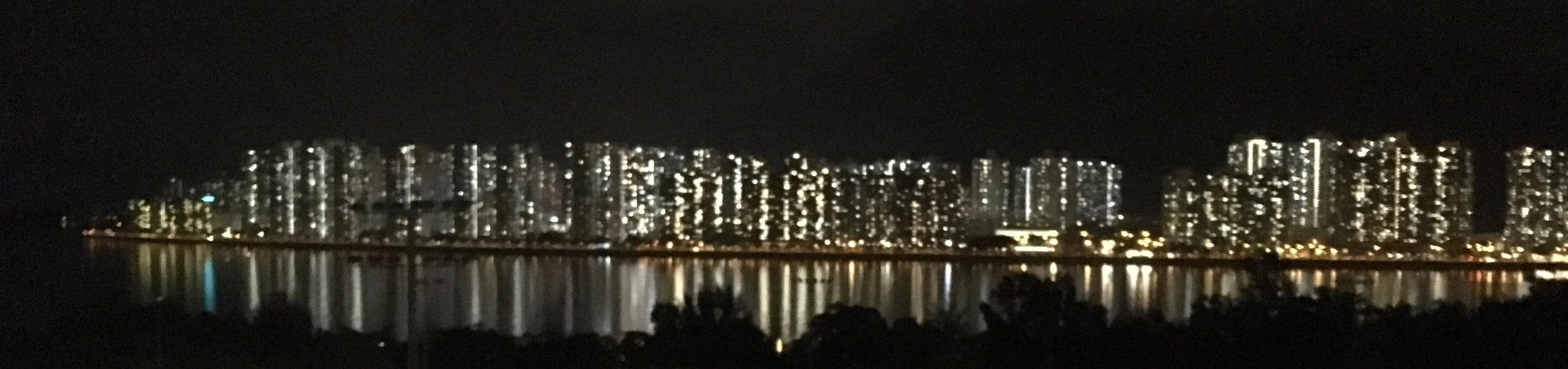 Chris flew to Hong Kong in June 2017 to speak at the Germinal Stem Cell Biology Gordon Research Conference. This year's focus was on "Programming and Reprogramming the Vertebrate Germline". This is a view of the Hong Kong skyline across from a balcony at Morningside College, the site of the Wednesday night social.