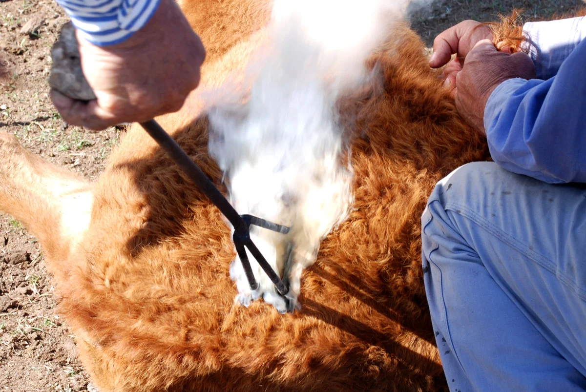 DSC_6561_1200x800_crop.jpg