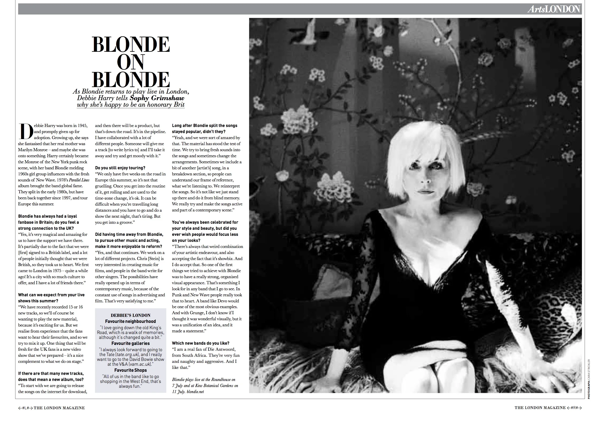 Debbie Harry.jpg