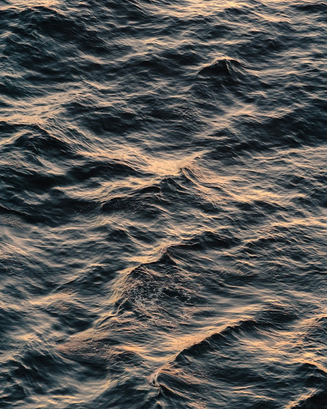 MOANA WEBSITE-8.jpg