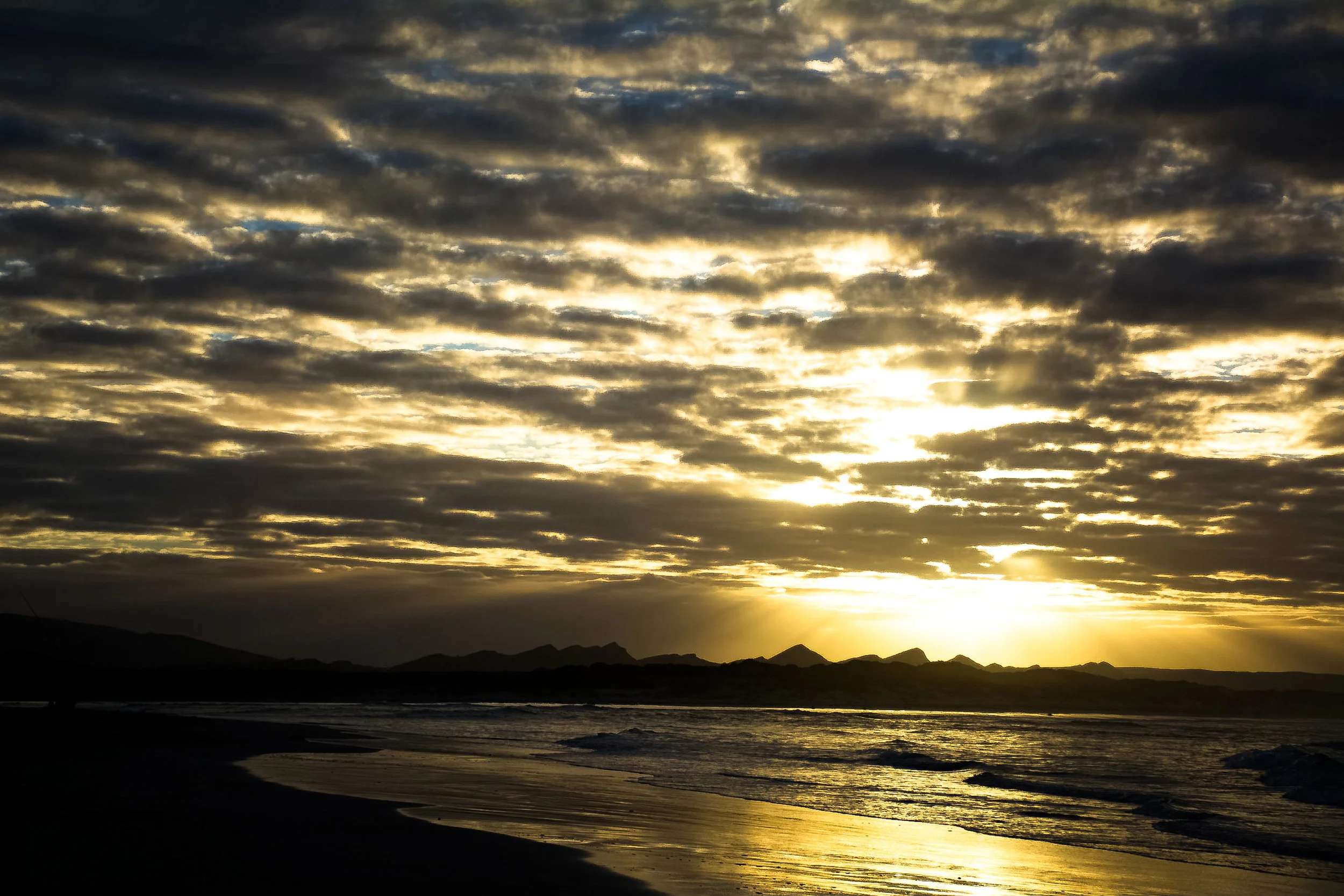 DSC_1903.jpg