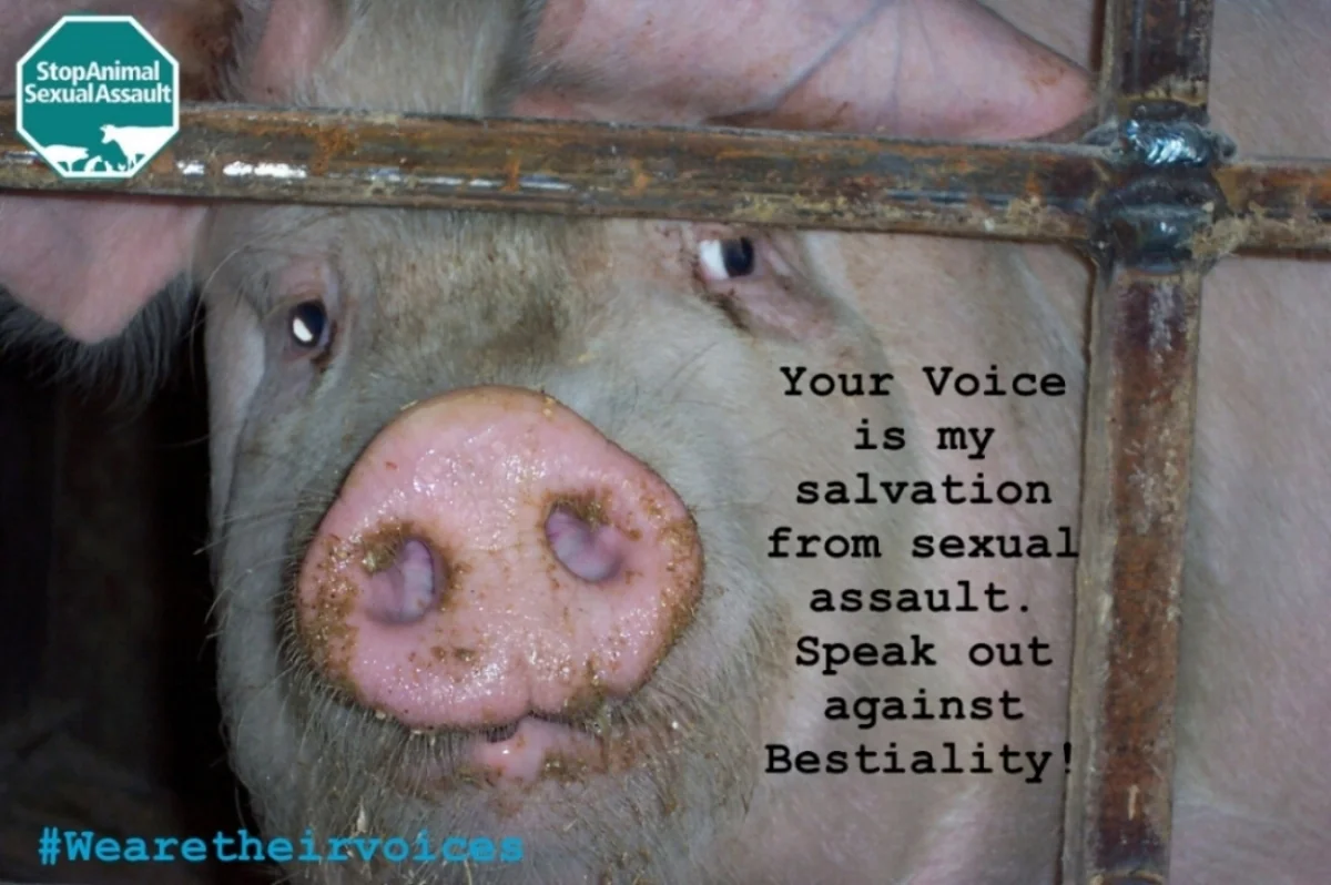 Sad pig- wearetheirvoices.jpg