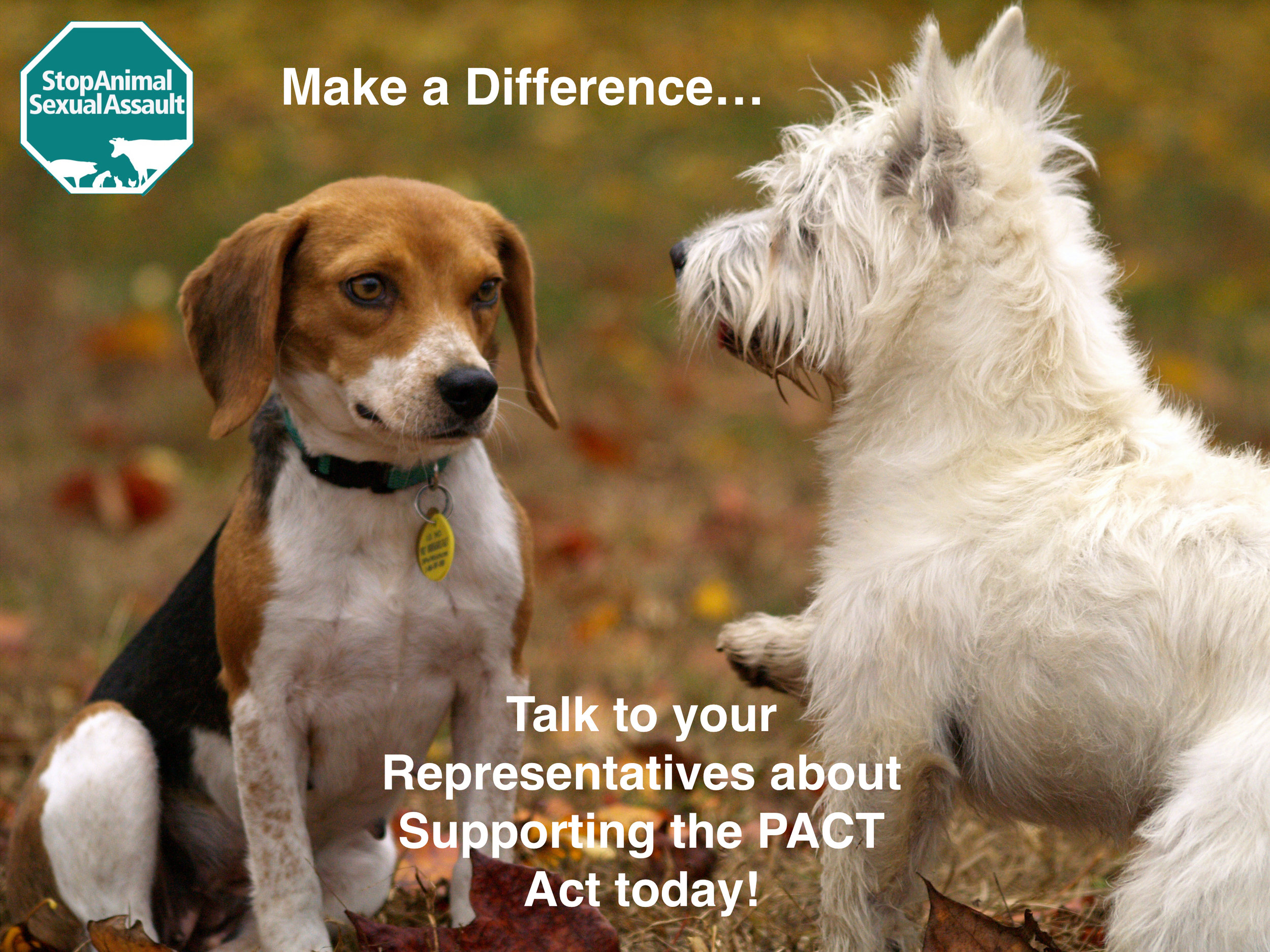 Talk to Rep Today abt PACT Act.jpeg