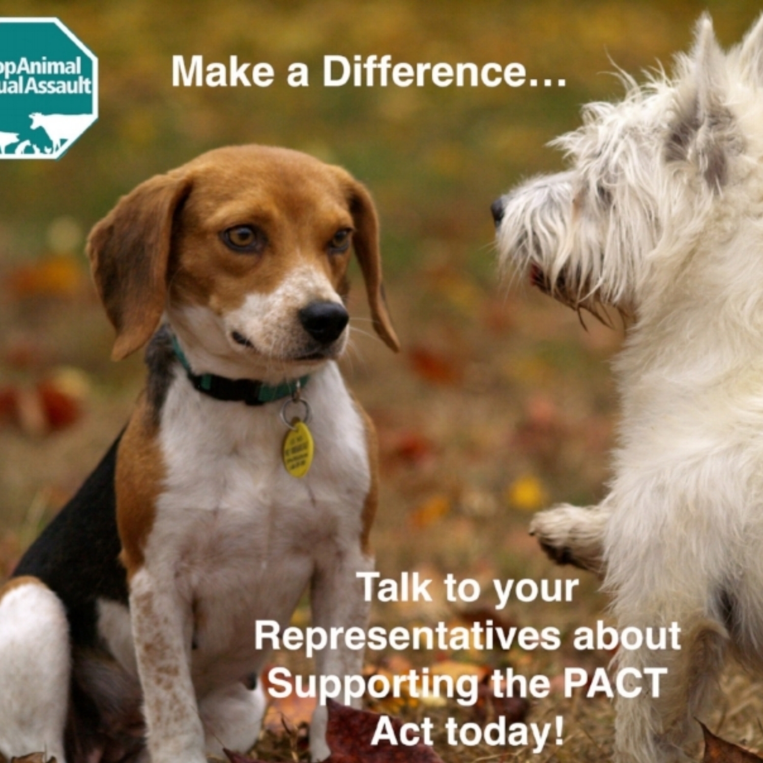 Why Supporting the PACT Act is important! 