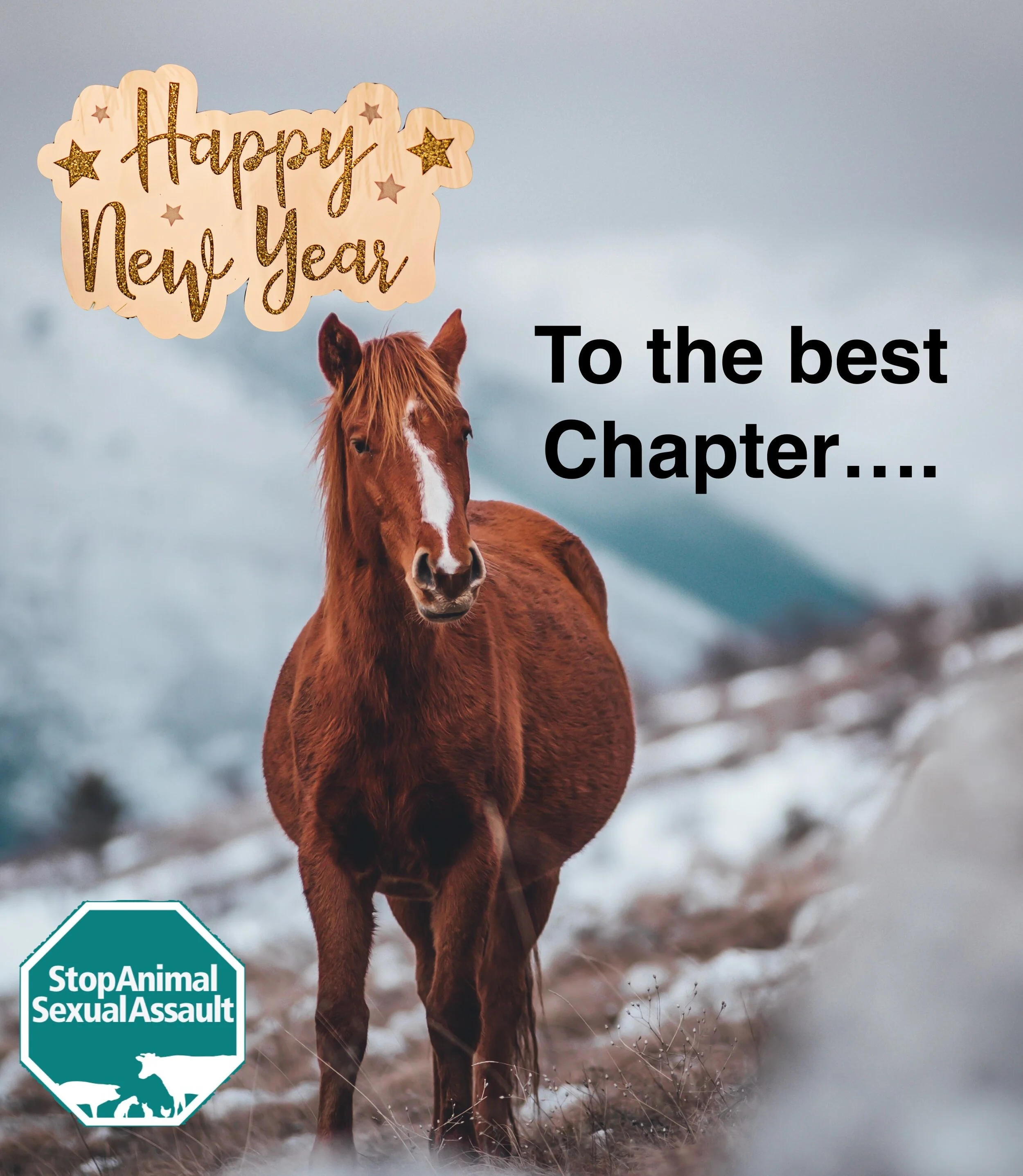 Here is to a New Chapter... 2020