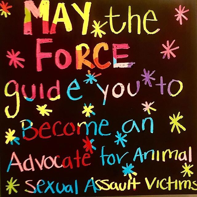 #maytheforcebewithyou  this day. Make sure to stand up for those who cannot. Awareness leads to knowledge, knowledge leads to #understanding, understanding leads to #compassion, #compassion leads to #love. #animals #dogs #cats #ducks #horses #chicken