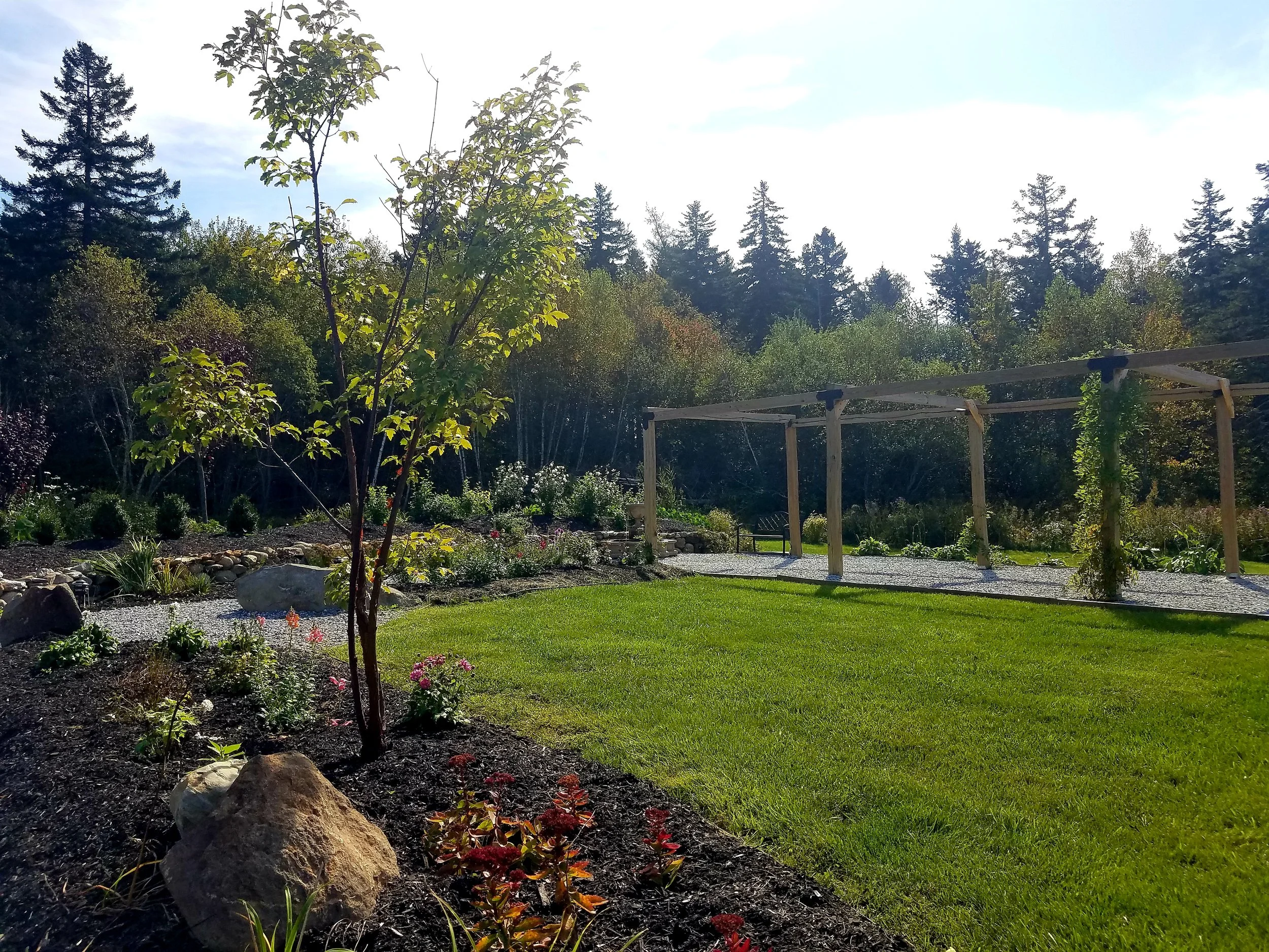 A lush garden with a young tree, colorful flowers, rocks, a manicured lawn, and a wooden trellis structure, set against a background of tall evergreen trees under a partly cloudy sky.