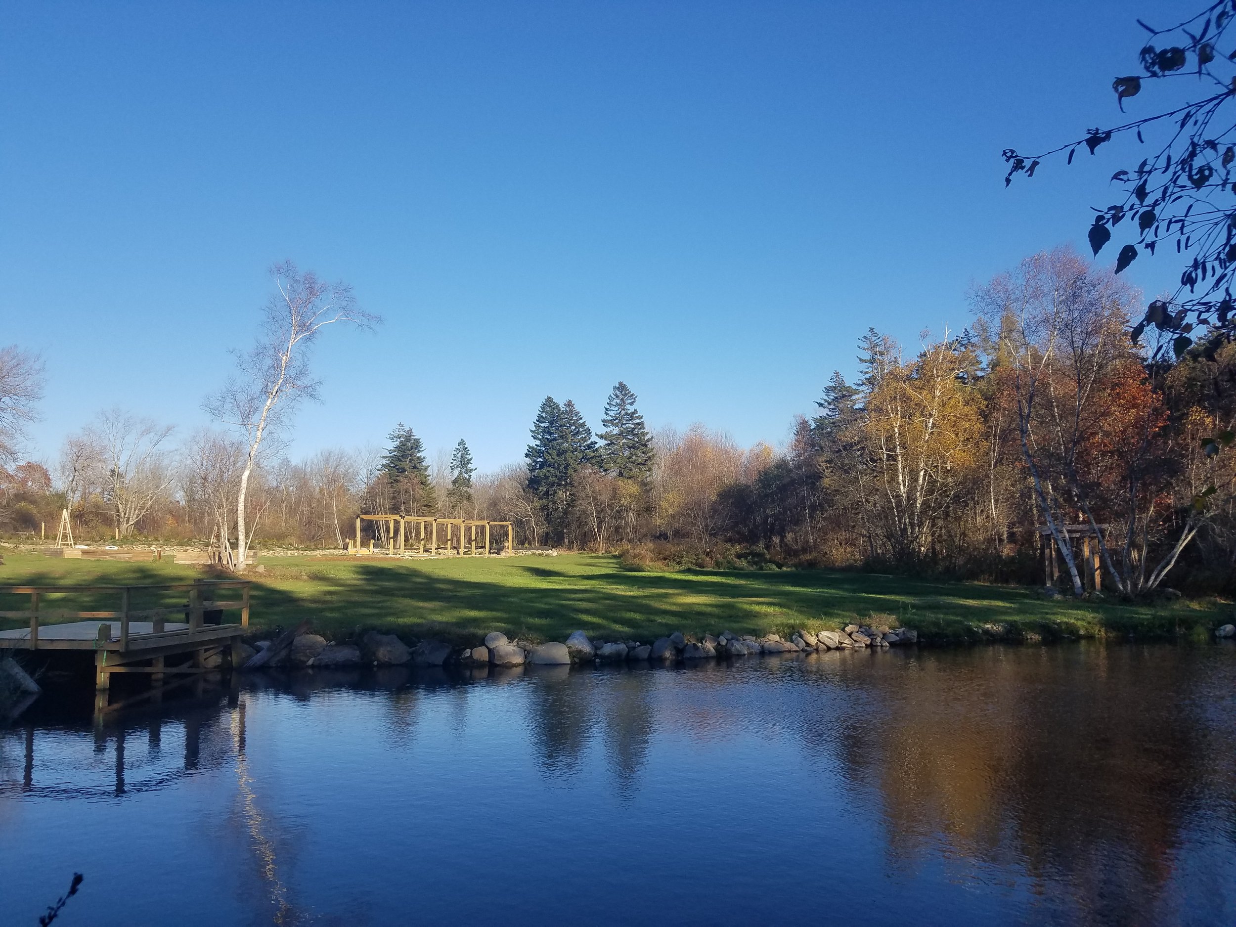 Our Farm Pond at 19 Birch Lane