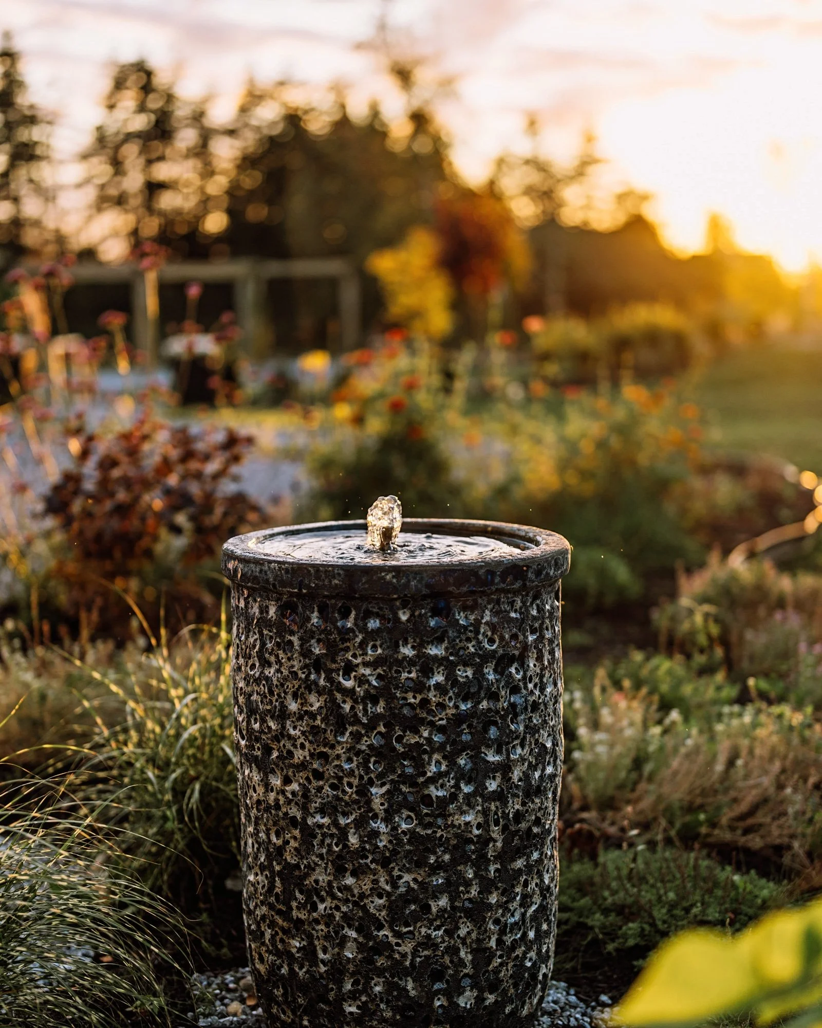 The Beauty of Water: Designing with Water Features in Your Garden