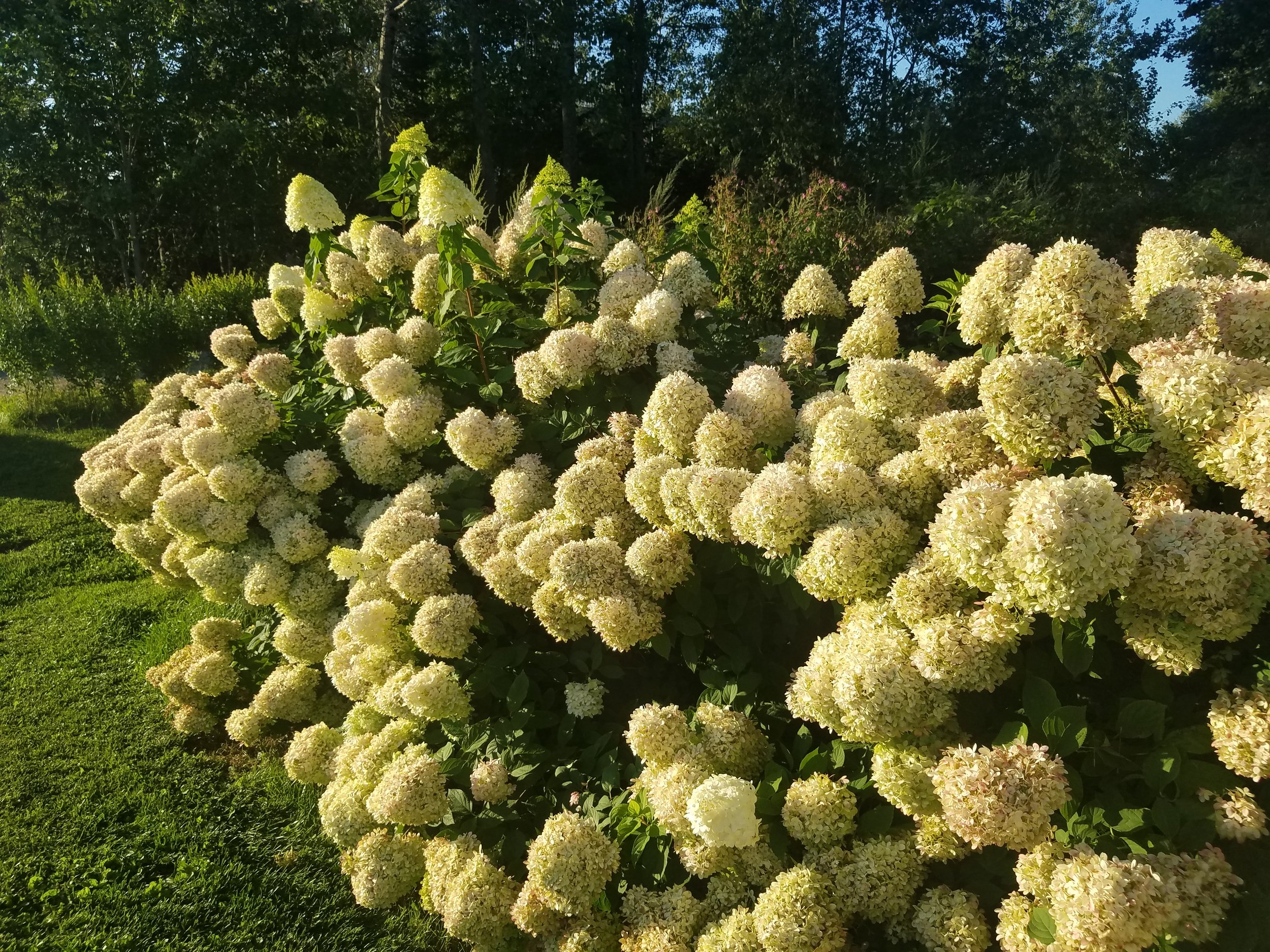 8 Timeless Landscape Design Tips That Always Work (From a Botanical Venue You’ll Want to Visit)