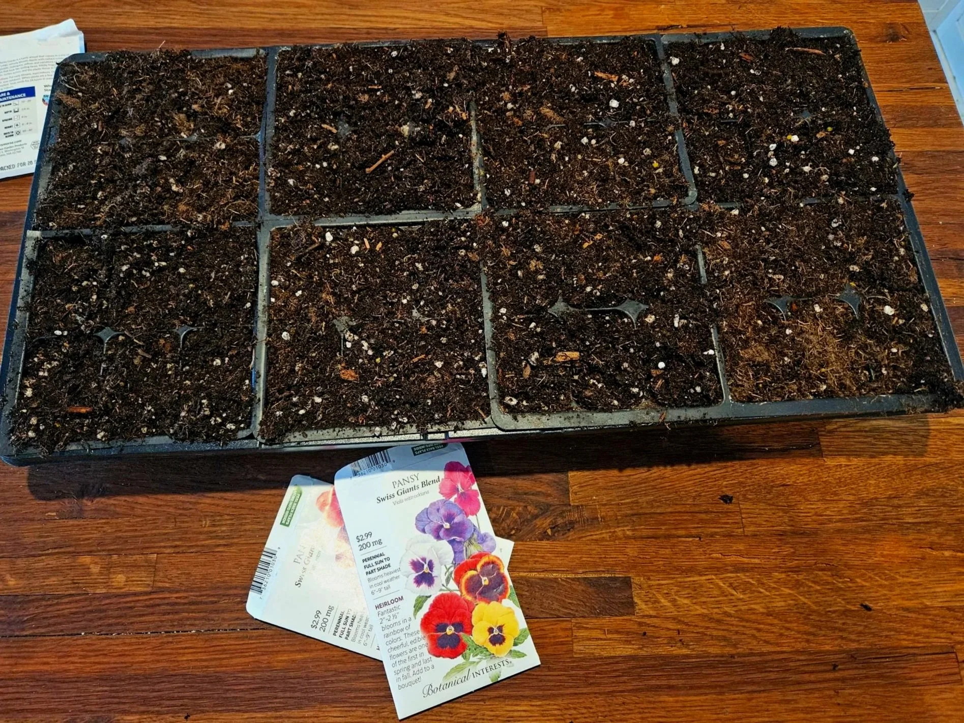 Sowing Beauty: How Seed Starting Brings 19 Birch Lane to Life in Zone 6