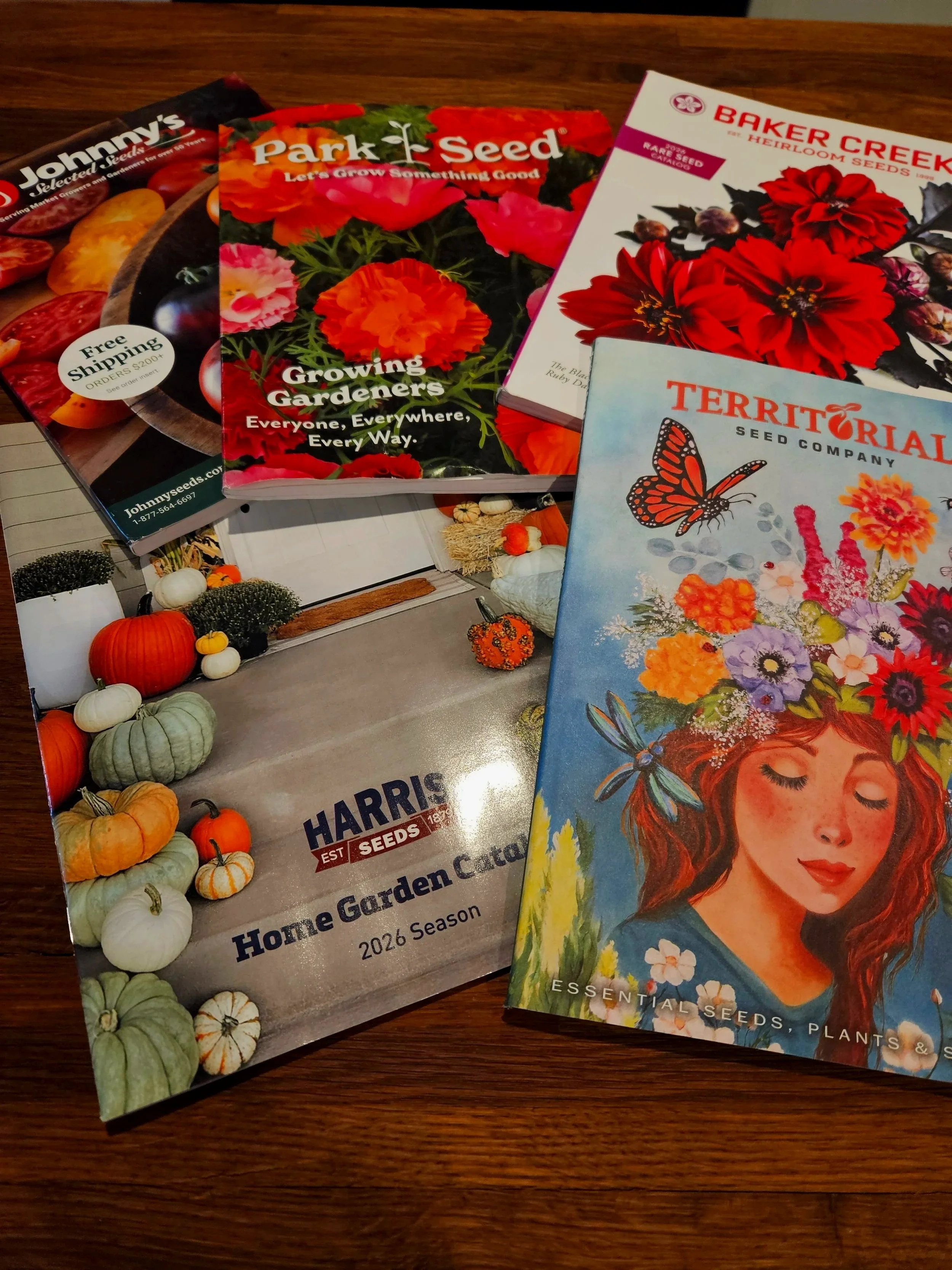 Trusted Seed Companies We Love at 19 Birch Lane: Sourcing the Best Flower Seeds for Zone 6 Gardens