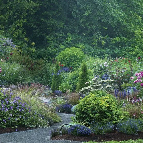 The Best Shrubs for Structure in a Garden (Boxwoods and Beyond)