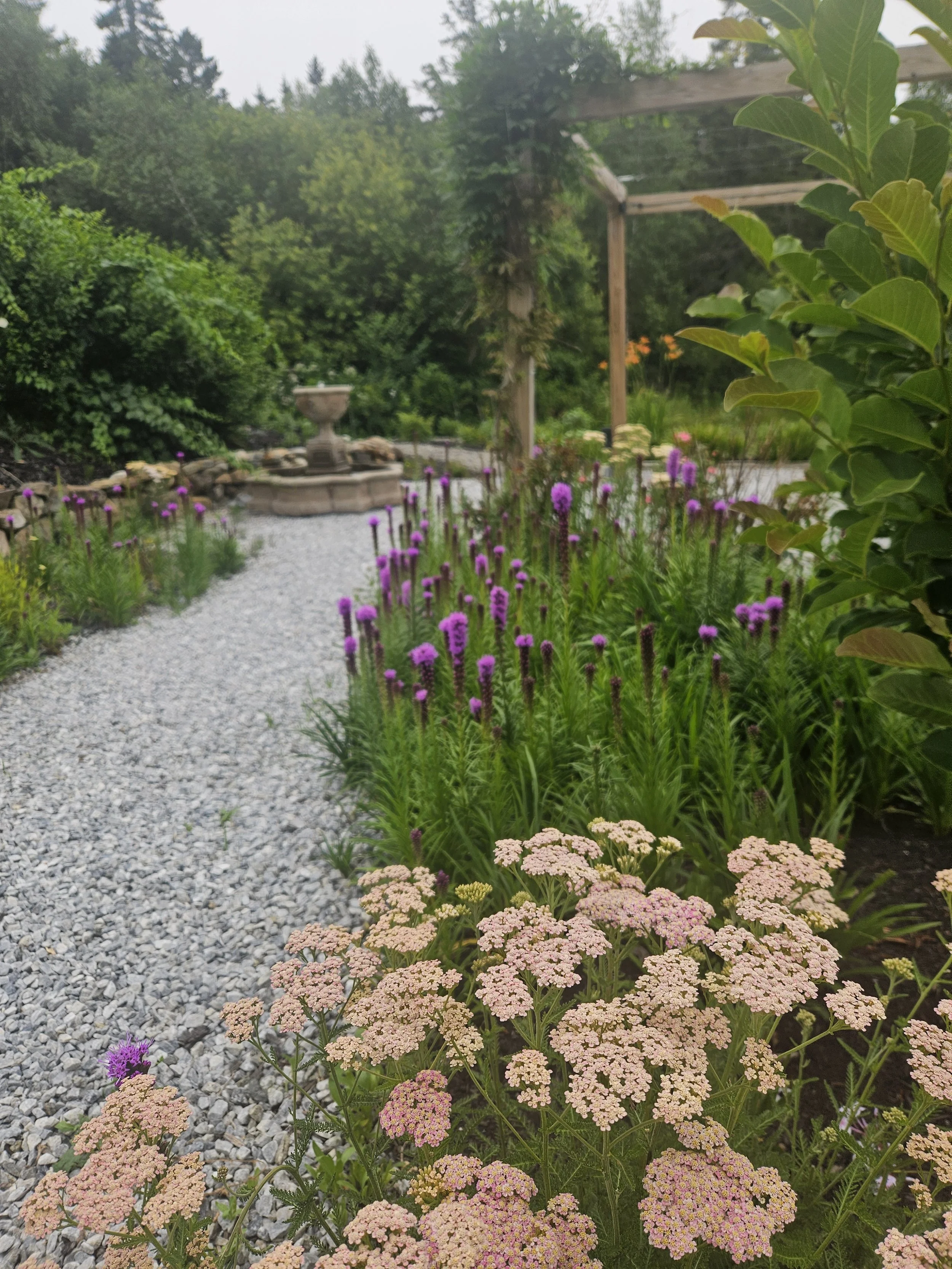 How to Design a Garden That Blooms From Spring Through Fall: Our Strategy at 19 Birch Lane