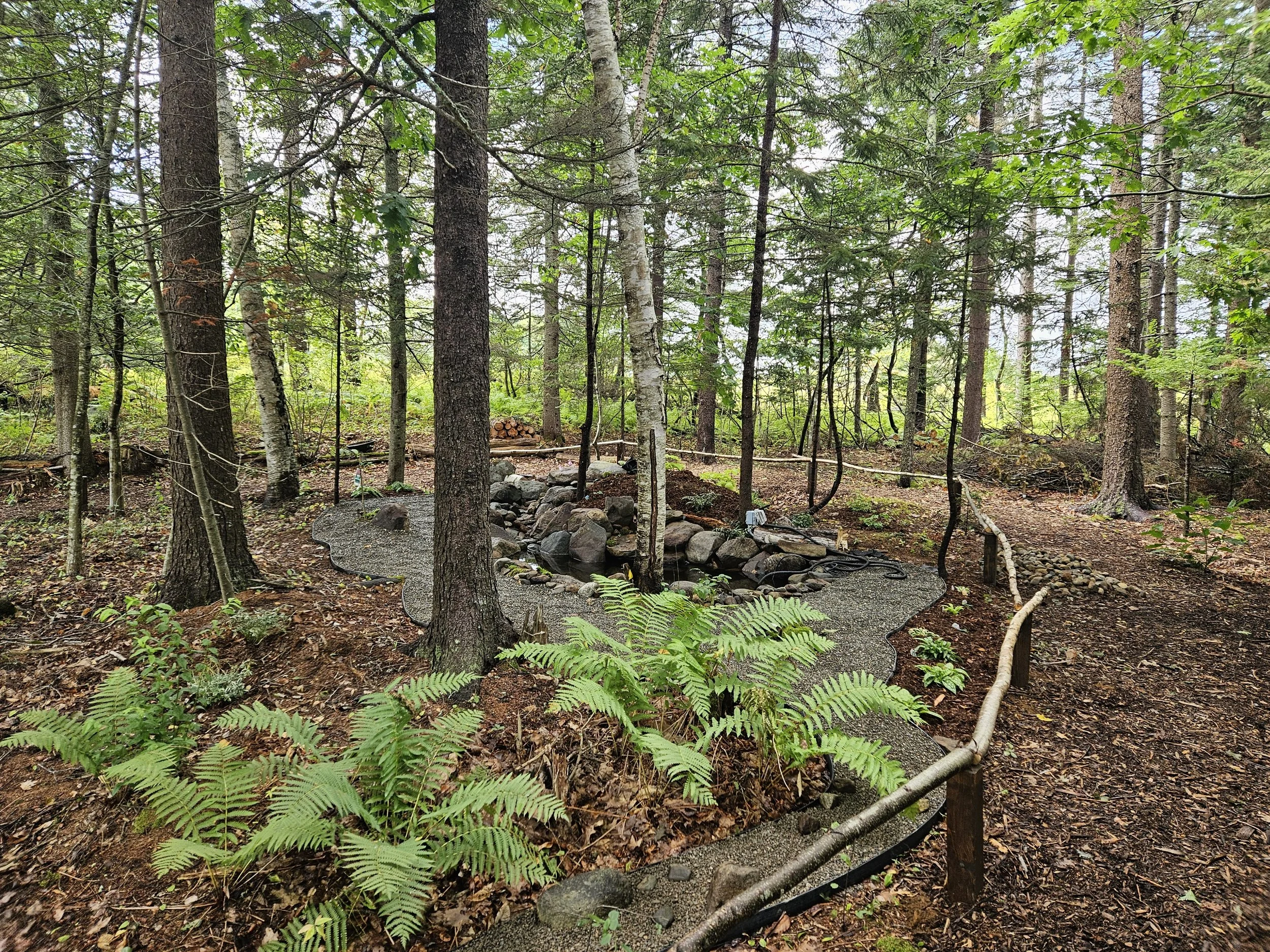 Creating Our New Asian Garden: A Tranquil Woodland Retreat in Mid Coast Maine