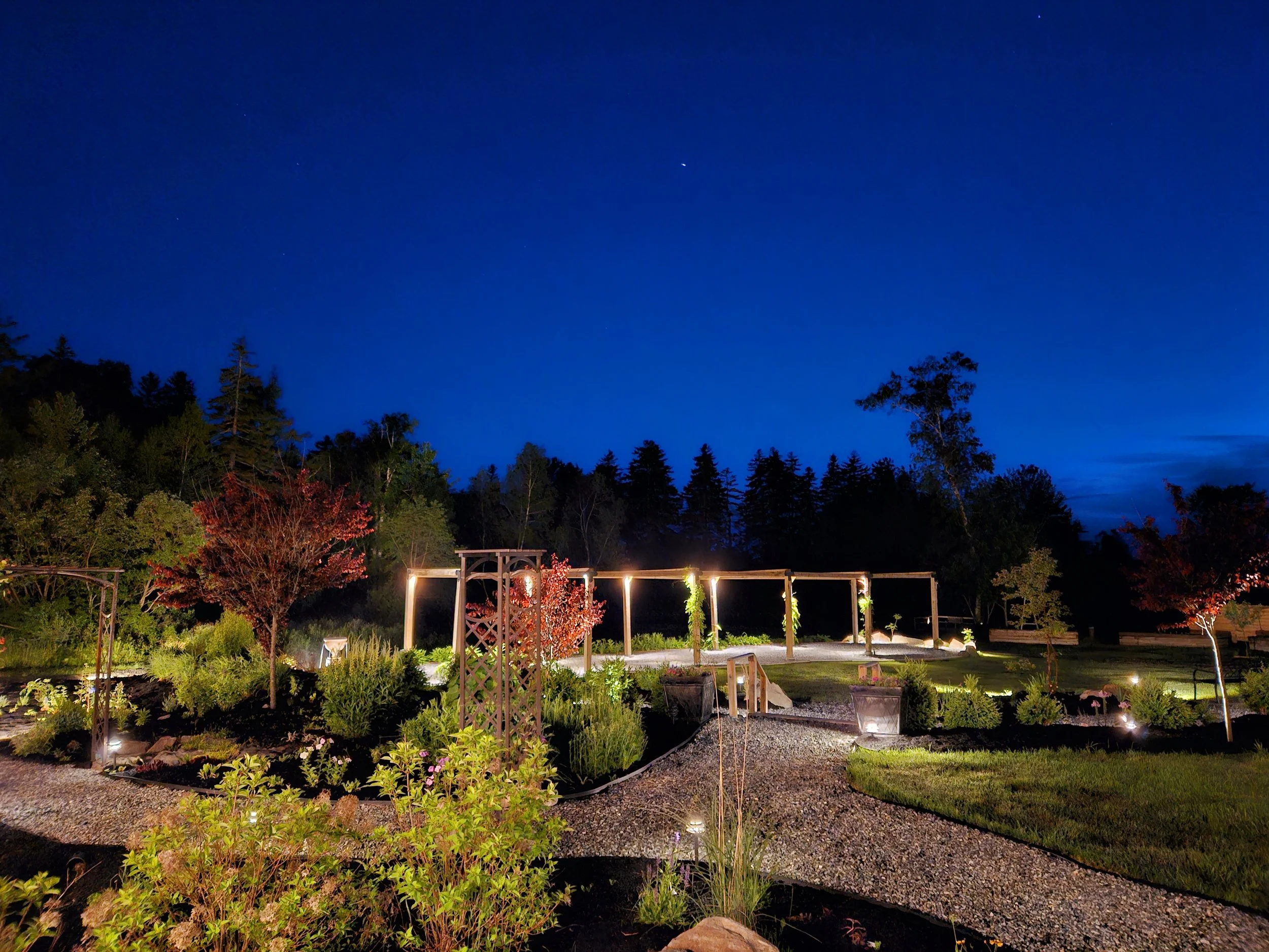 Nighttime illuminated garden with trees, shrubs, and pathways under a dark blue sky.