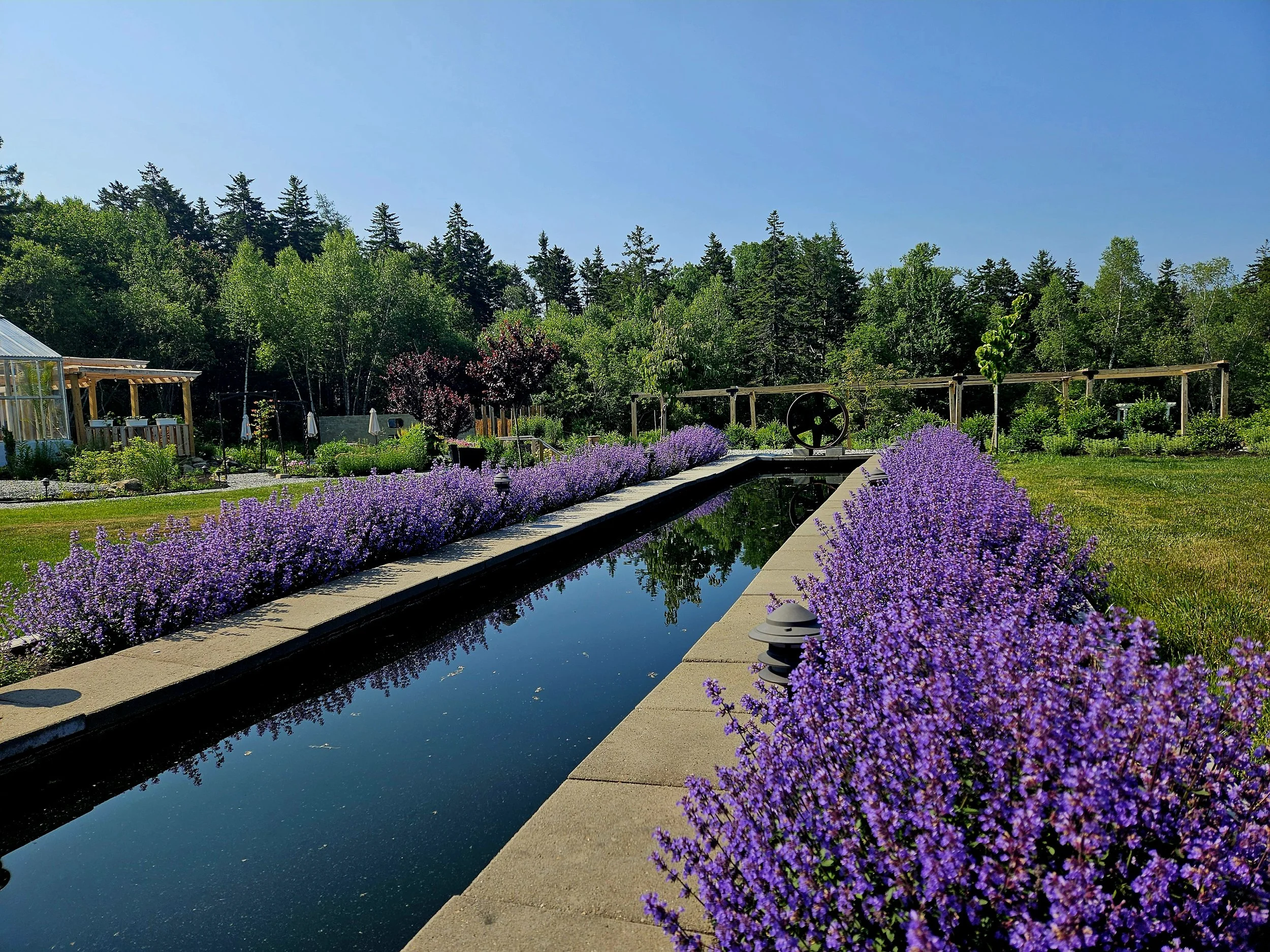 Designing Garden Rooms: How to Create Botanical Destinations Within Your Landscape
