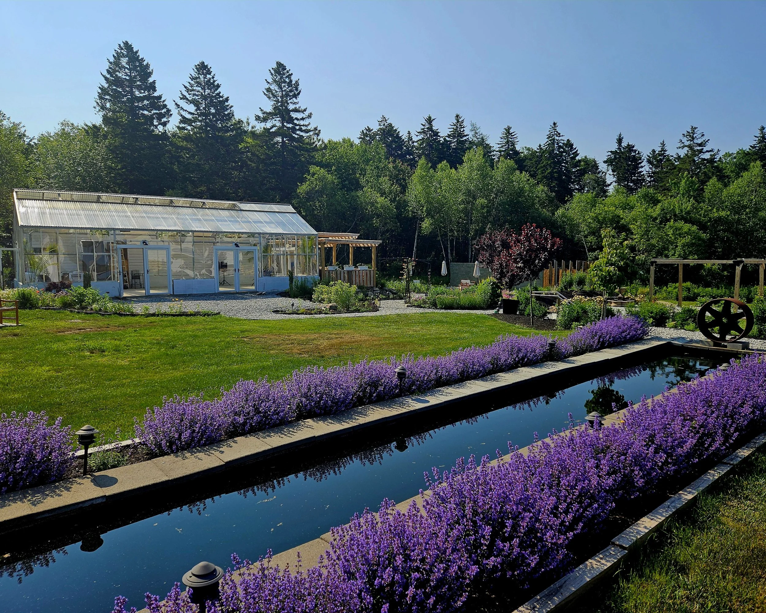 A garden with a greenhouse, a rectangular pool lined with purple lavender plants, and various trees and shrubs in the background under a clear blue sky.