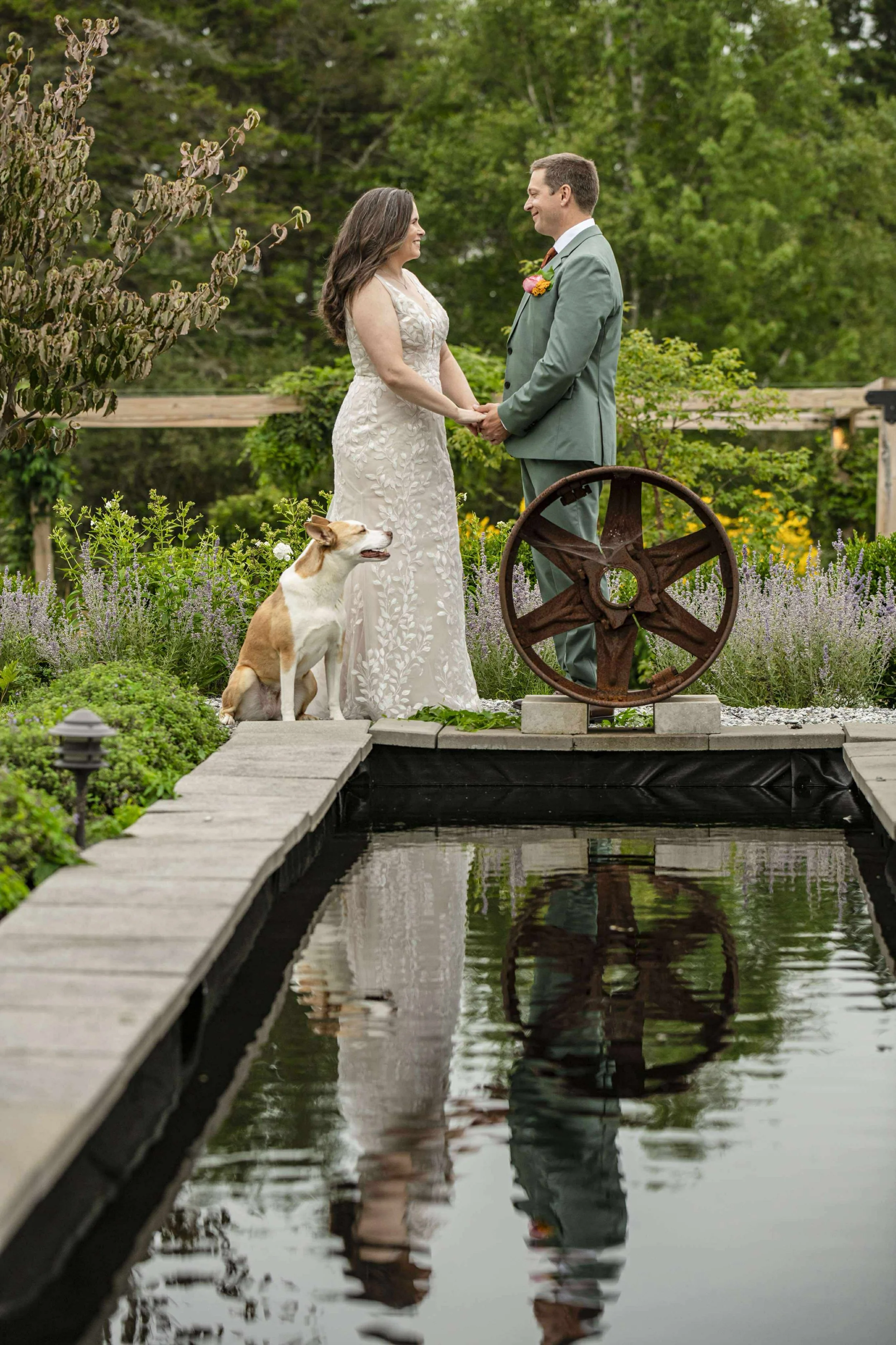A couple getting married outdoors by a water feature, with a dog present, surrounded by lush greenery.