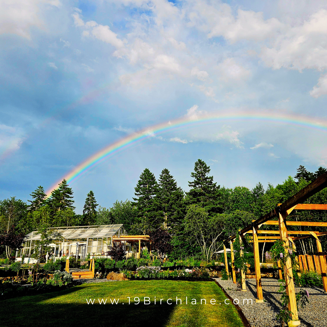 A rainbow stretching over 19 Birch lanes Lord and Burnham Greenhouse and Gardens.