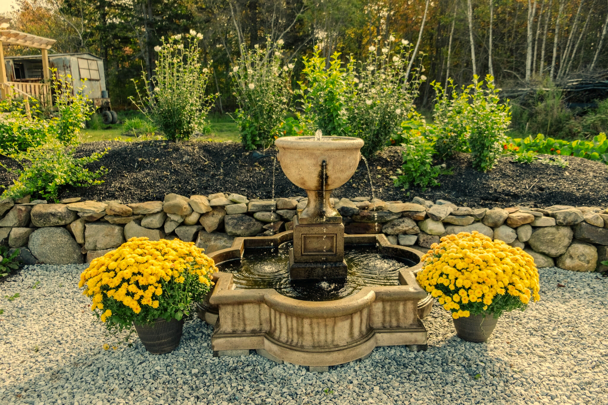 A stone fountain with water flowing into a basin, surrounded by yellow potted chrysanthemums, set on gravel with lush greenery and trees in the background.