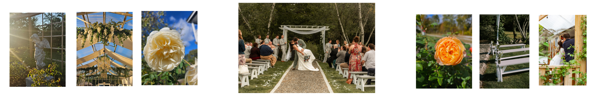 Sequence of images from a wedding ceremony held outdoors: a statue in a greenhouse garden, floral decoration with hanging white flowers, white roses, the wedding ceremony with guests and a couple exchanging vows under an arch, a close-up of an orange rose, a white garden bench, and a couple sitting on a covered porch.