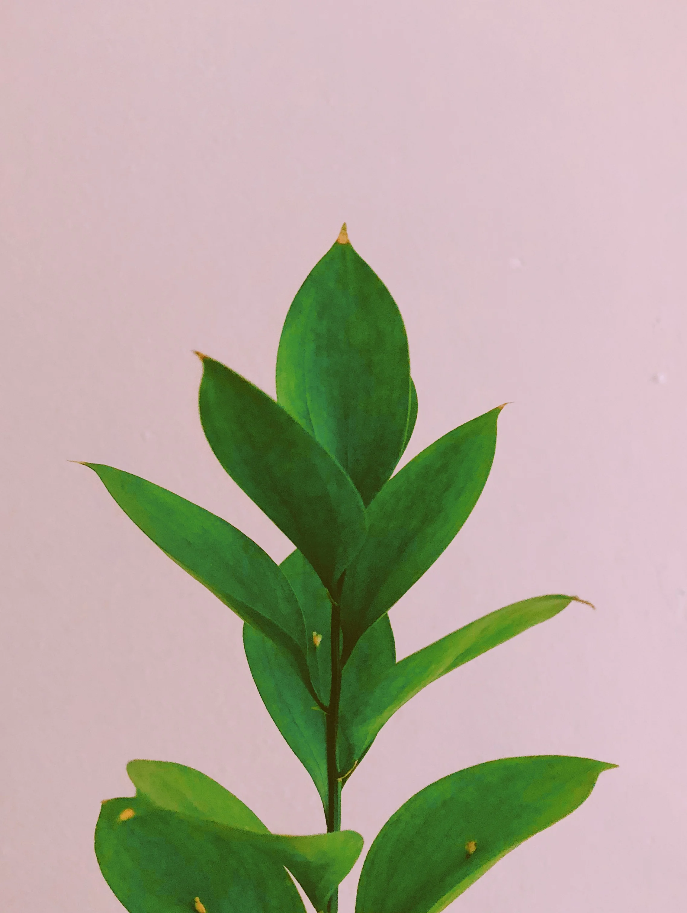 A88DA7FA-3D8F-4E41-B892-1FFAFAD7D286.JPG