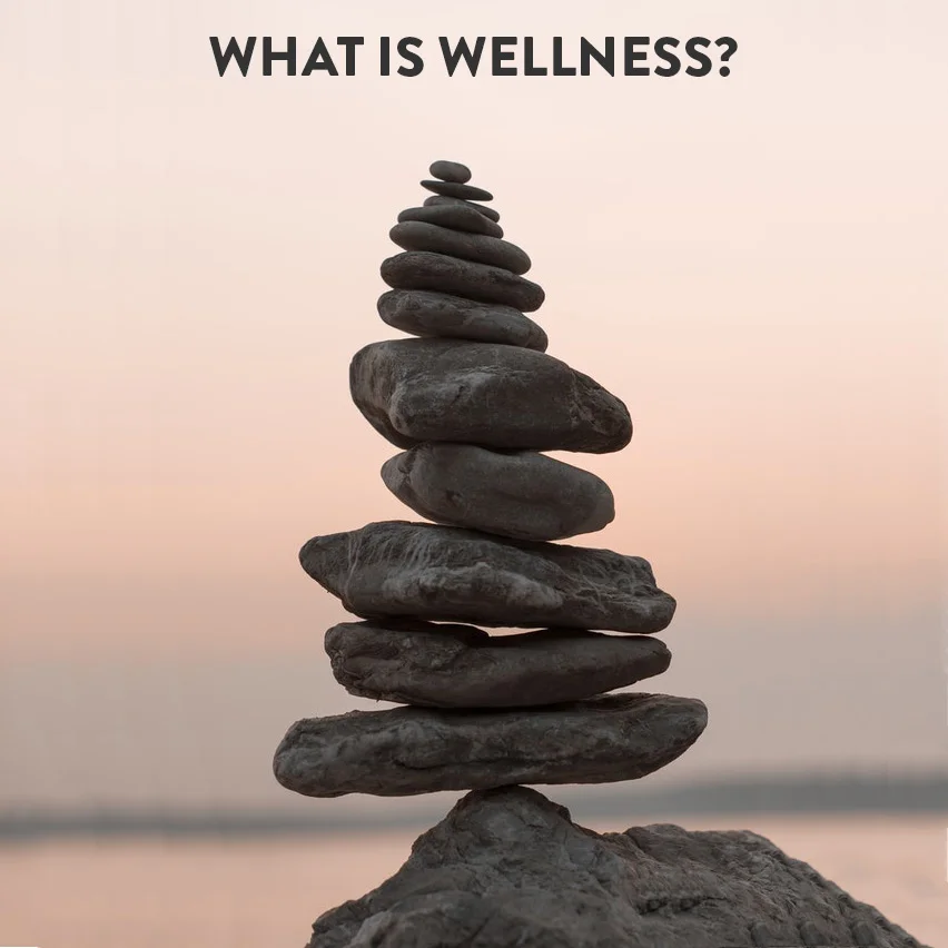What is Wellness?