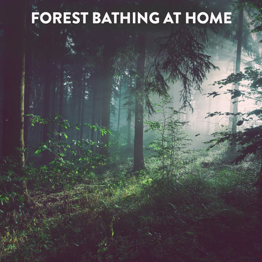 Forest Bathing At Home