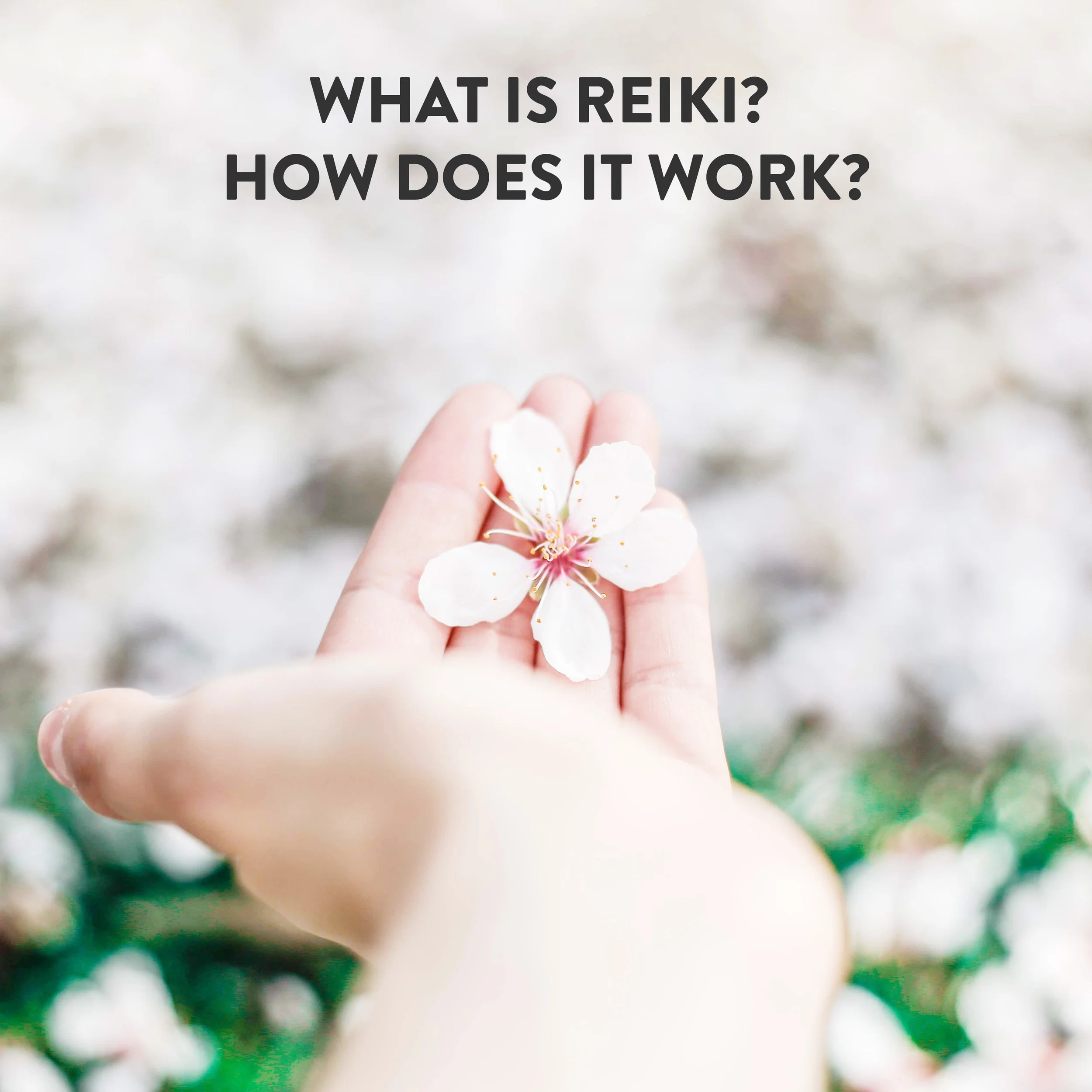 What is Energy Healing? How Does it Work?