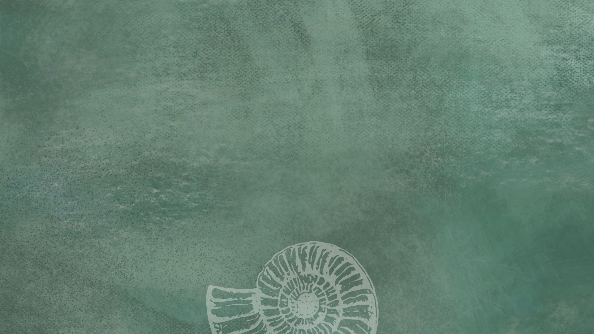 Website Background (1920 x 1080 px).png