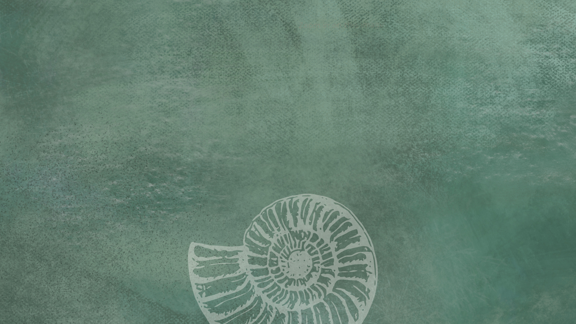 Website Background (1920 x 1080 px).png