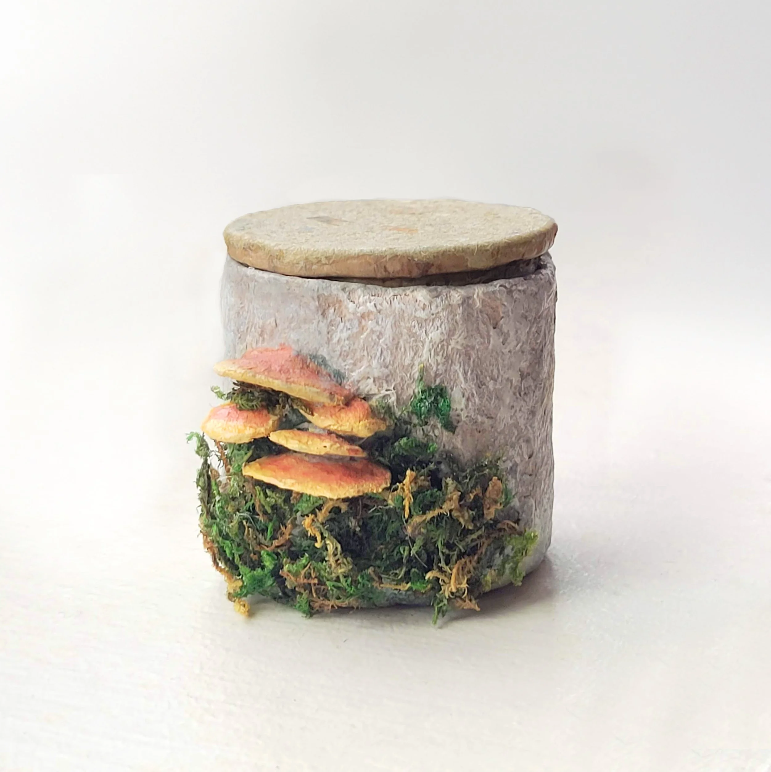 mushroom box 1.jpg