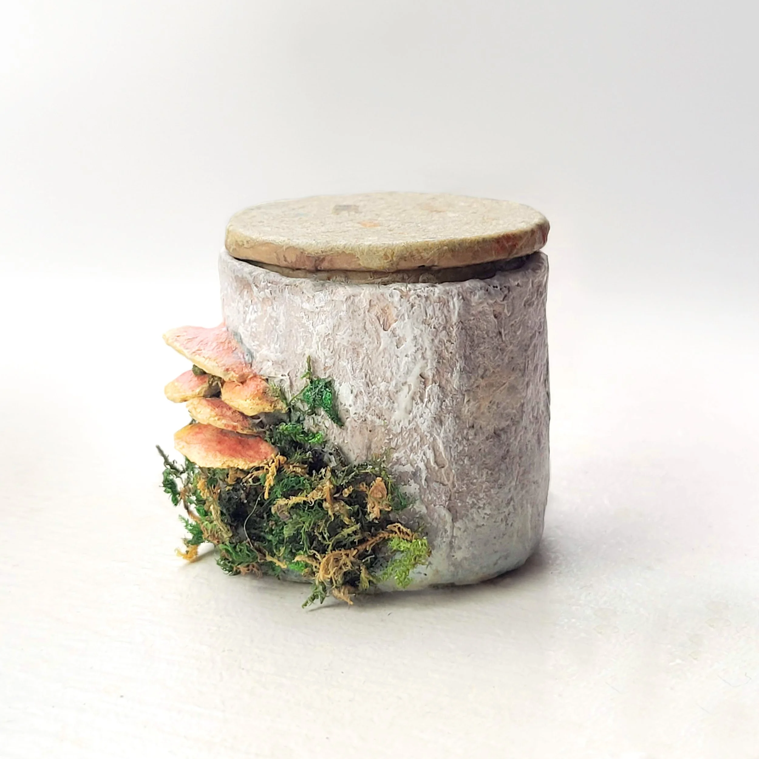 mushroom box 2.jpg