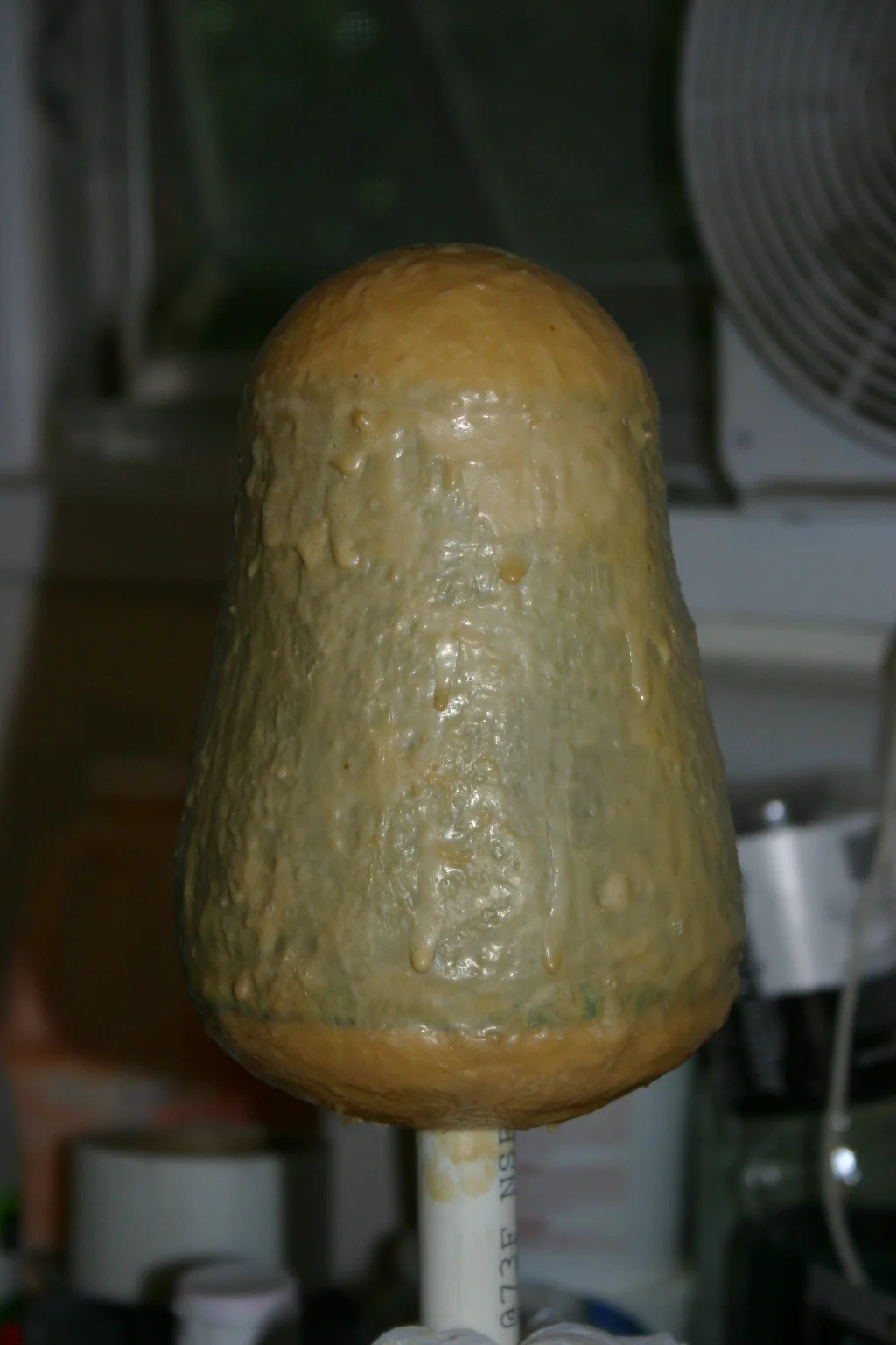 jelly10.JPG