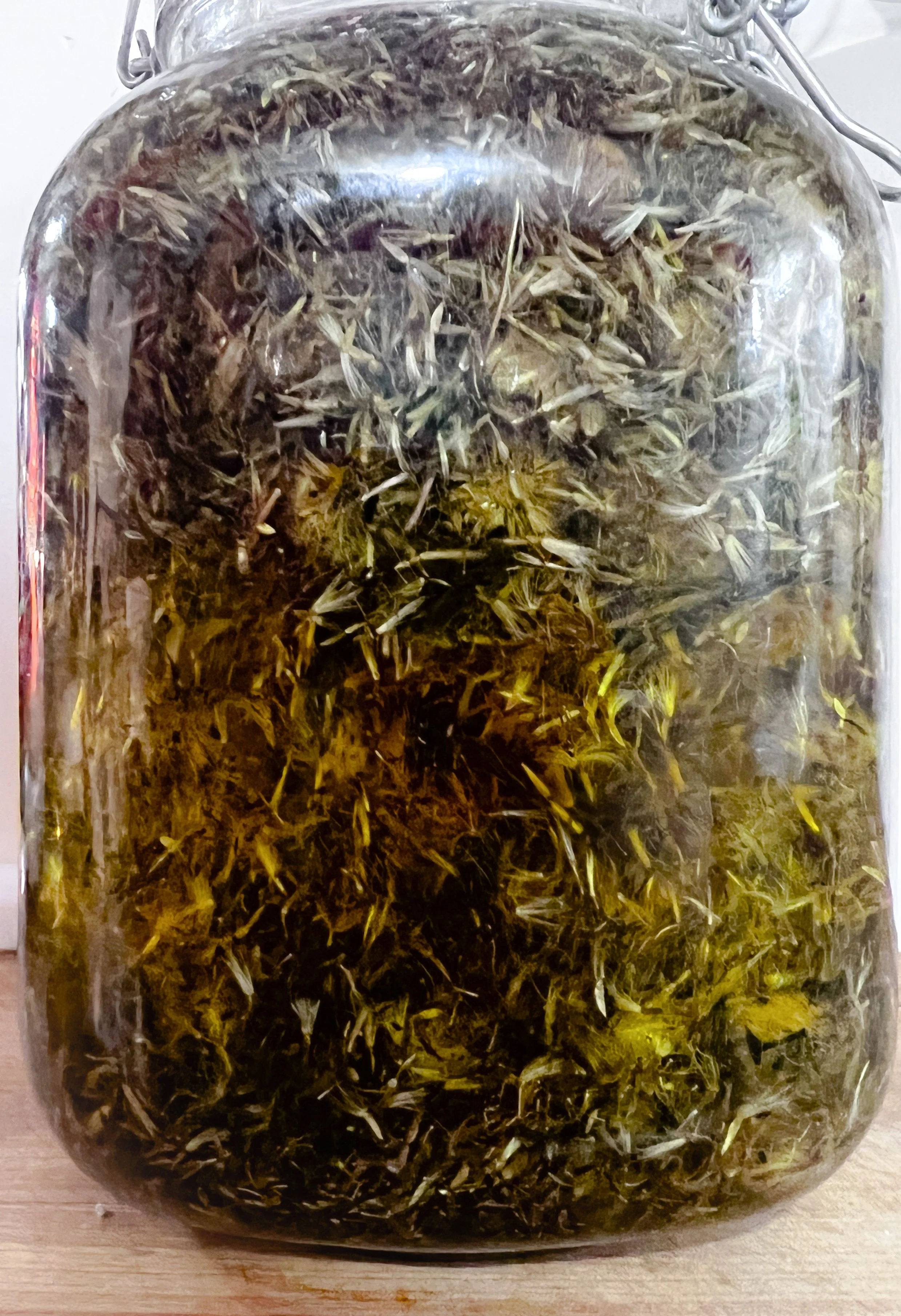 Arnica Infusion.JPEG