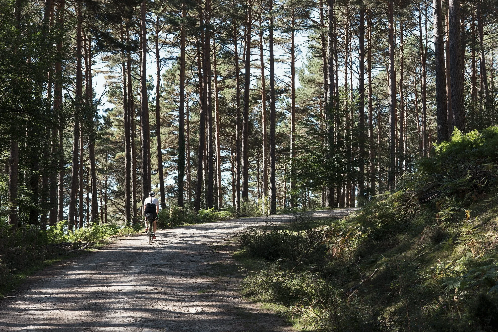 MG_LGCL_Cycling Tips_24.JPG