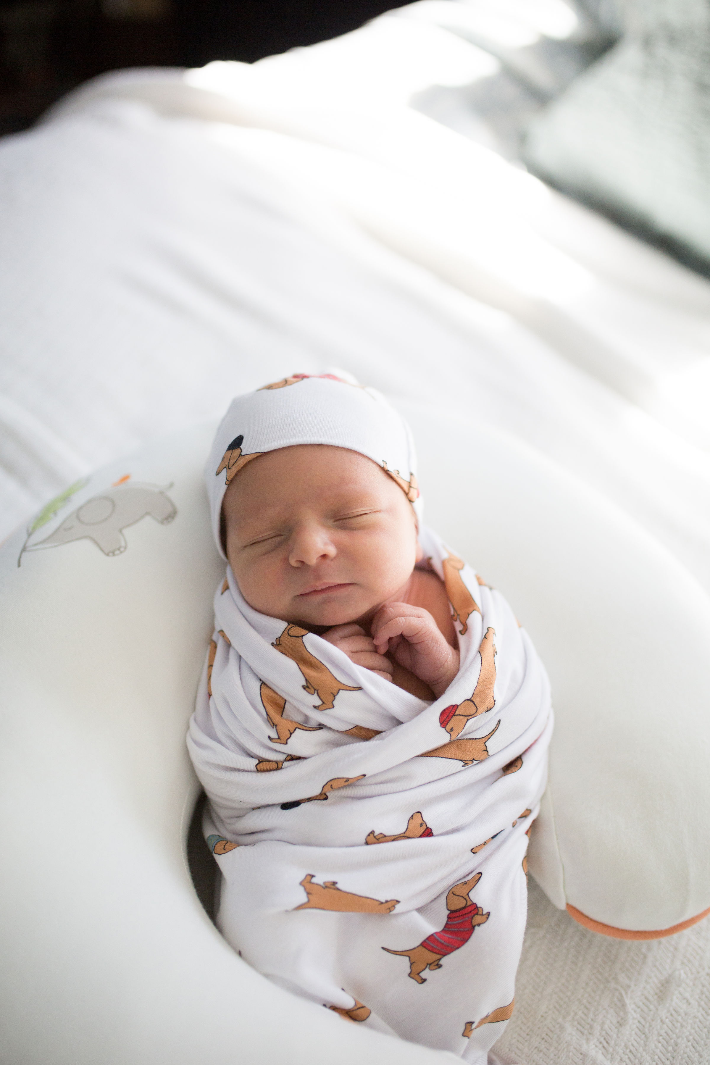 newborn in home session swaddled